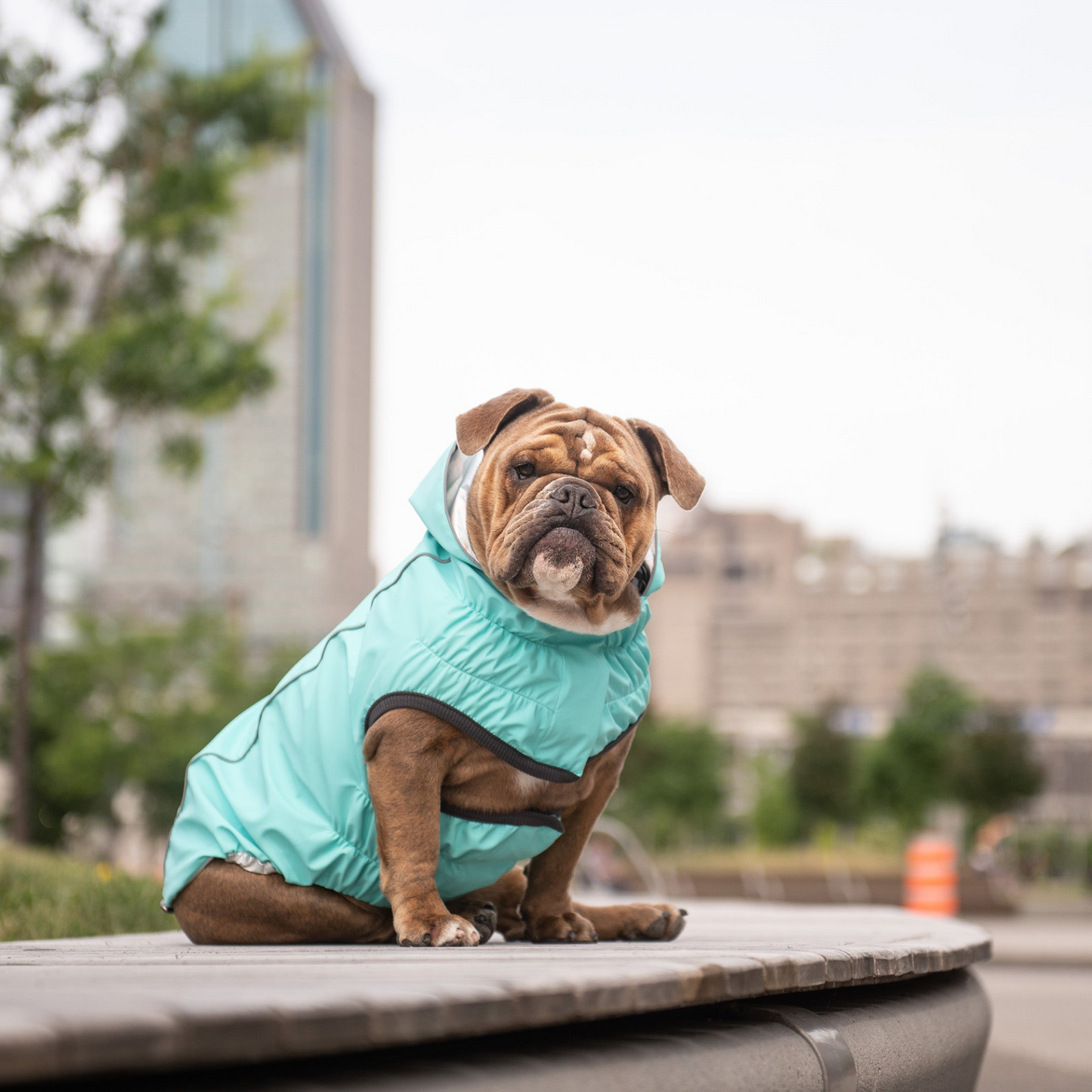 Reversible Raincoat - Neon Aqua with Iridescent