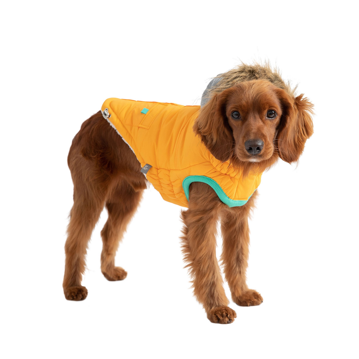 Winter Sailor Parka for Dogs- Yellow