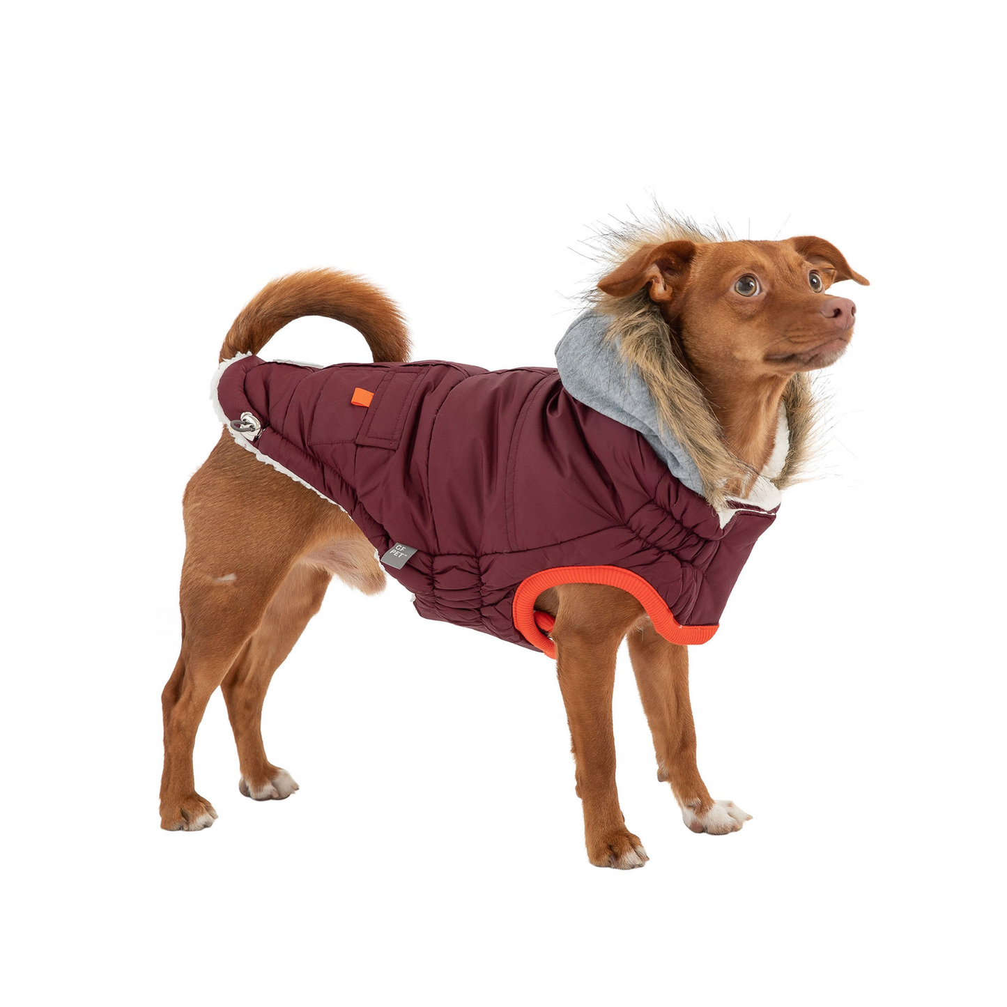 Winter Sailor Parka for Dogs- Burgundy