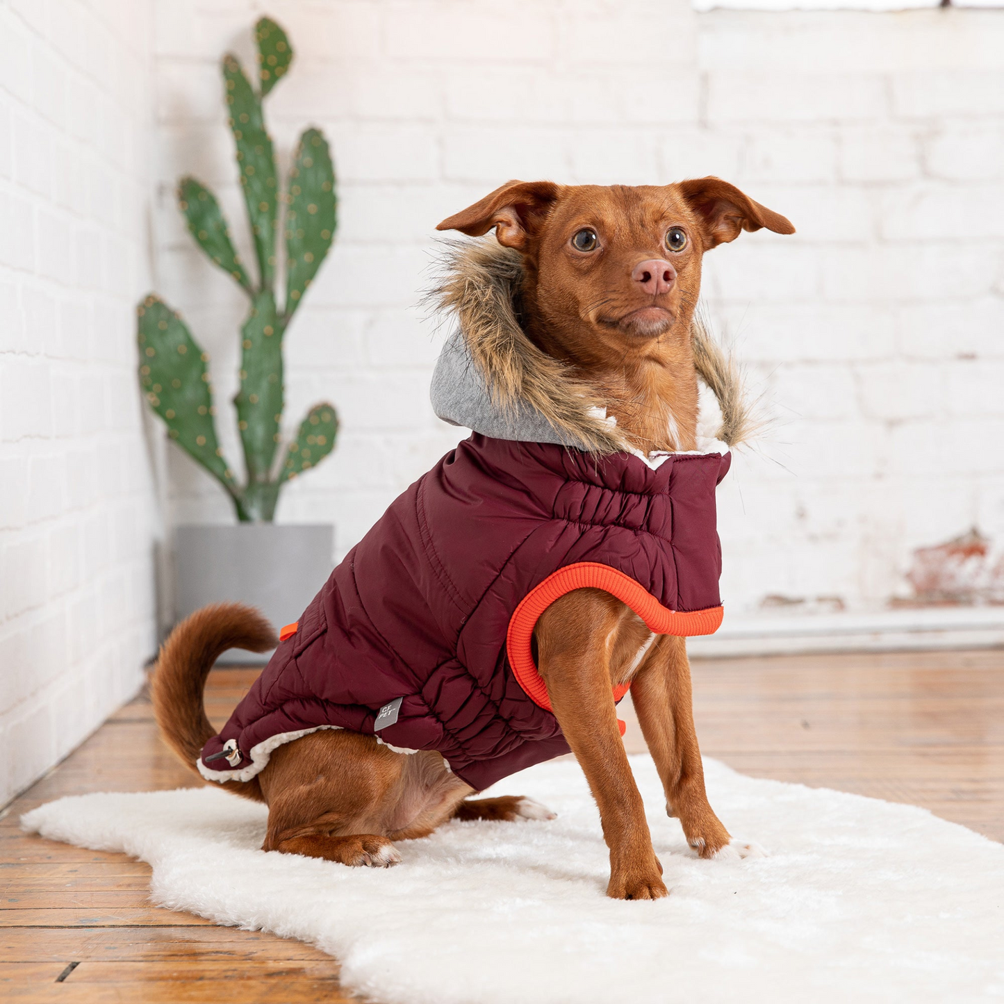 Winter Sailor Parka for Dogs- Burgundy