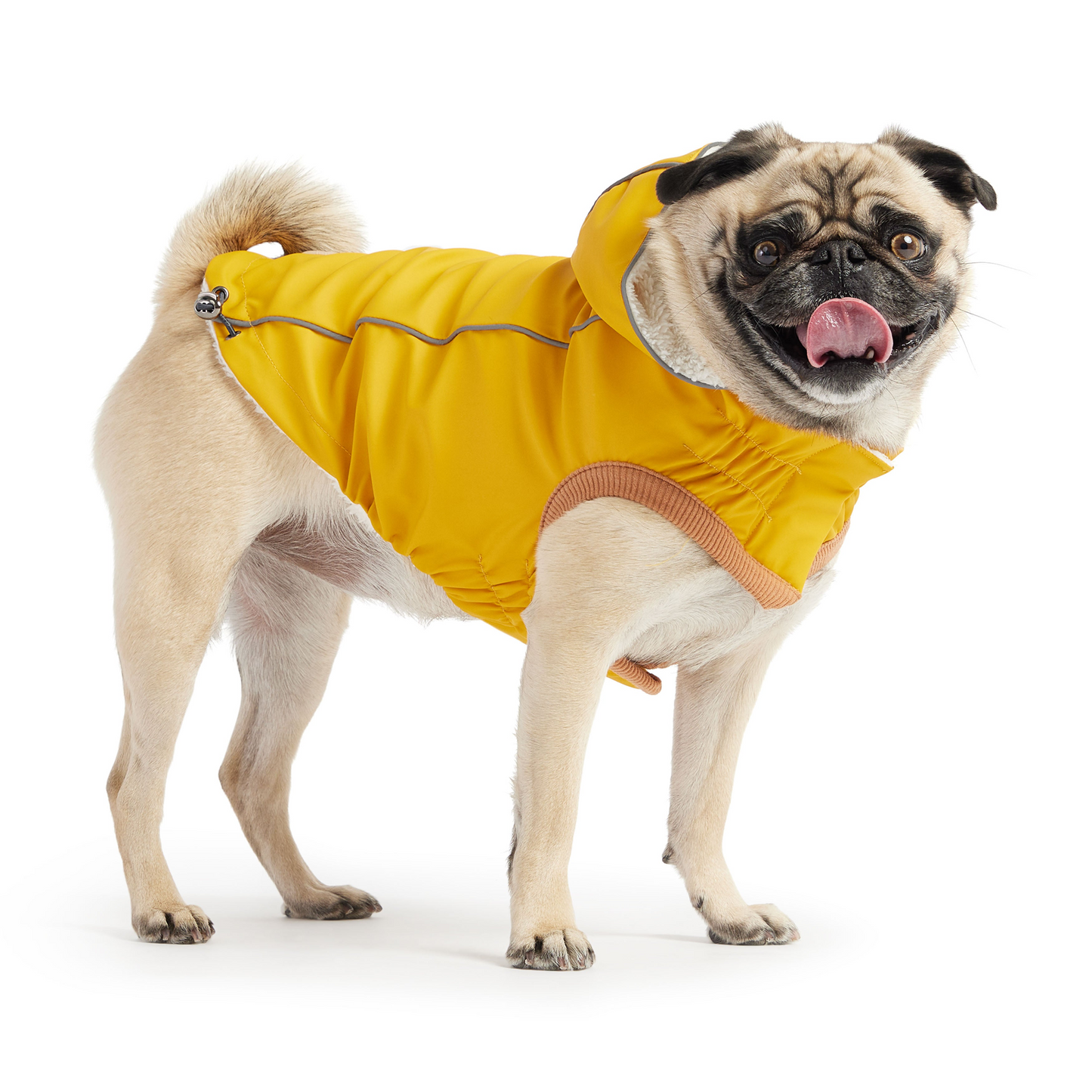 Insulated Raincoat for Dogs- Yellow