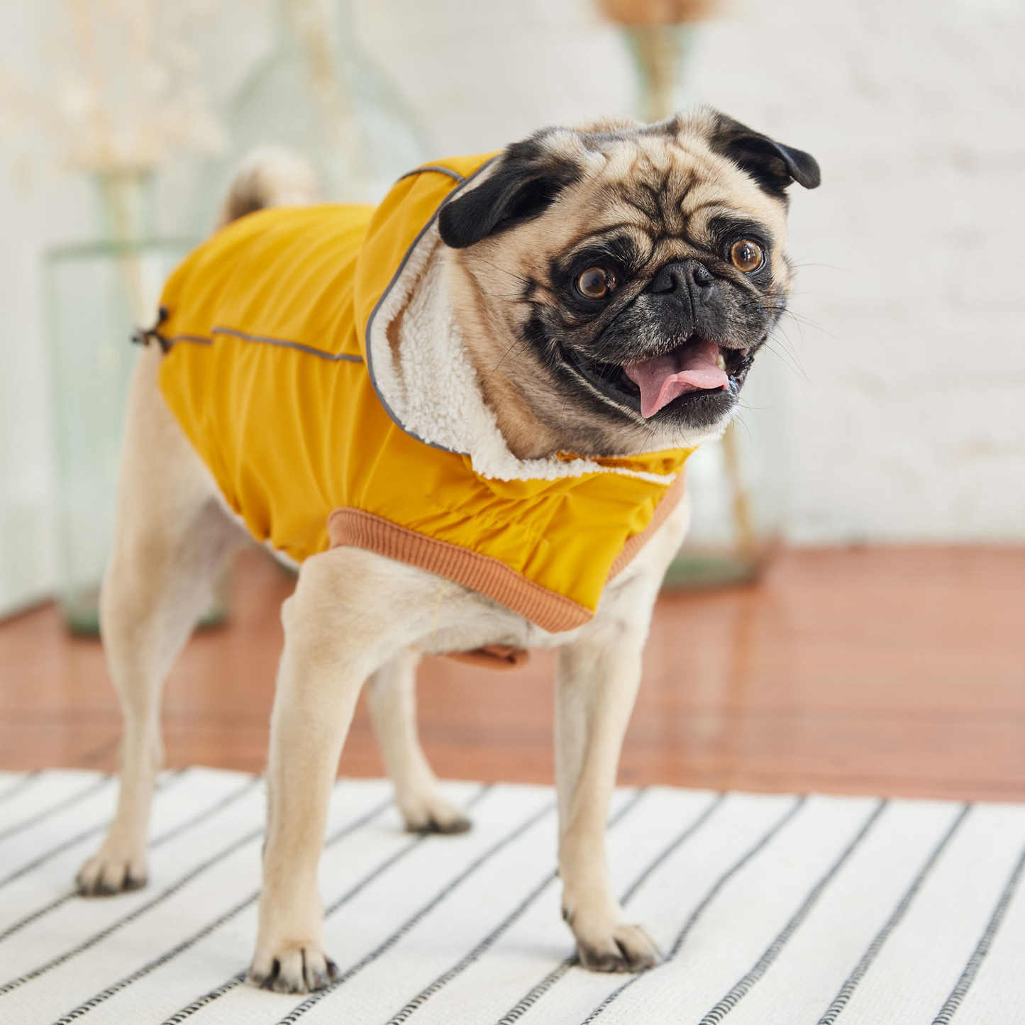 Insulated Raincoat for Dogs- Yellow