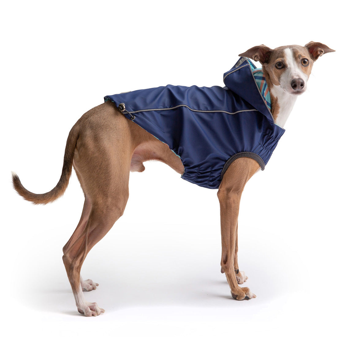 Reversible Elasto-Fit Raincoat for Dogs- Navy