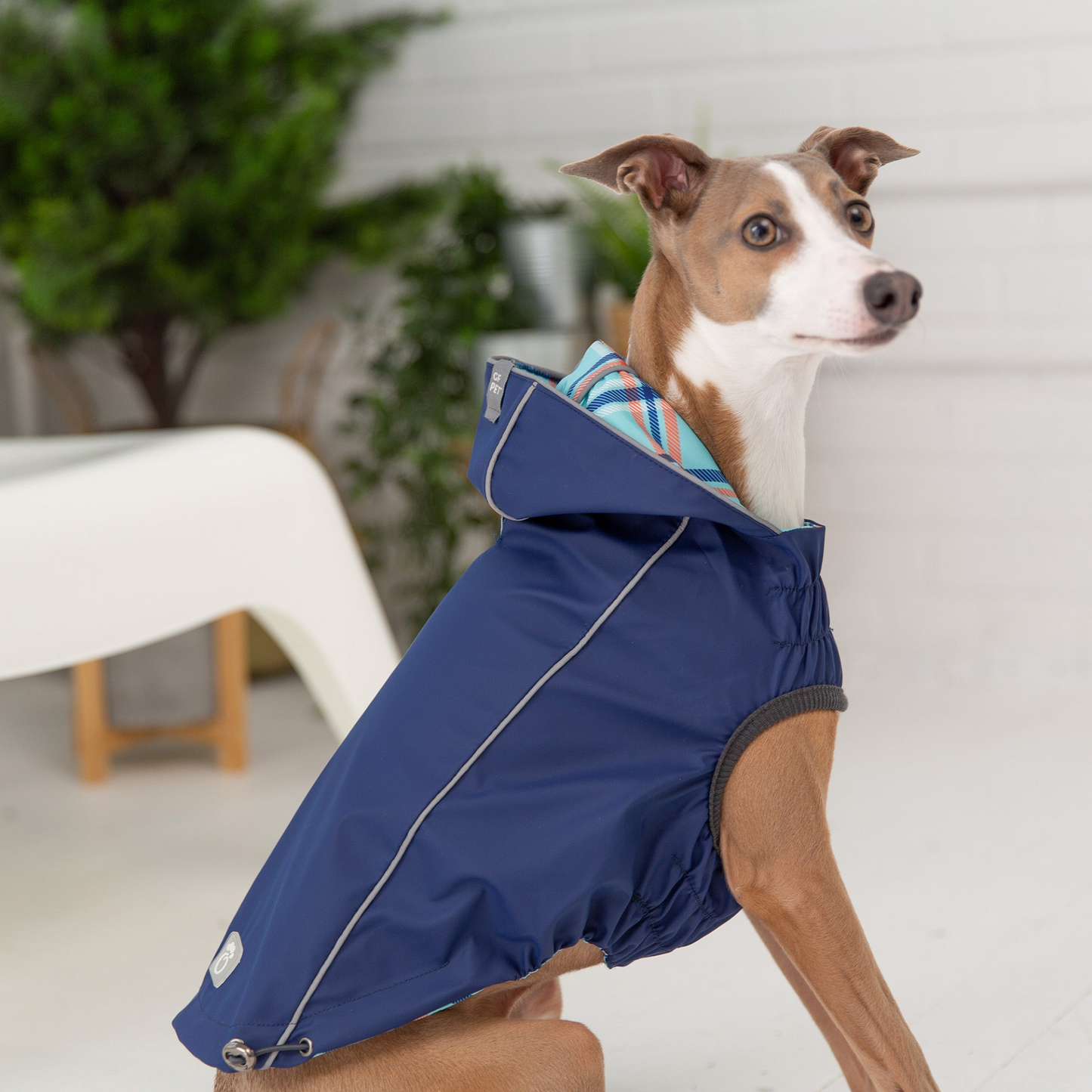 Reversible Elasto-Fit Raincoat for Dogs- Navy