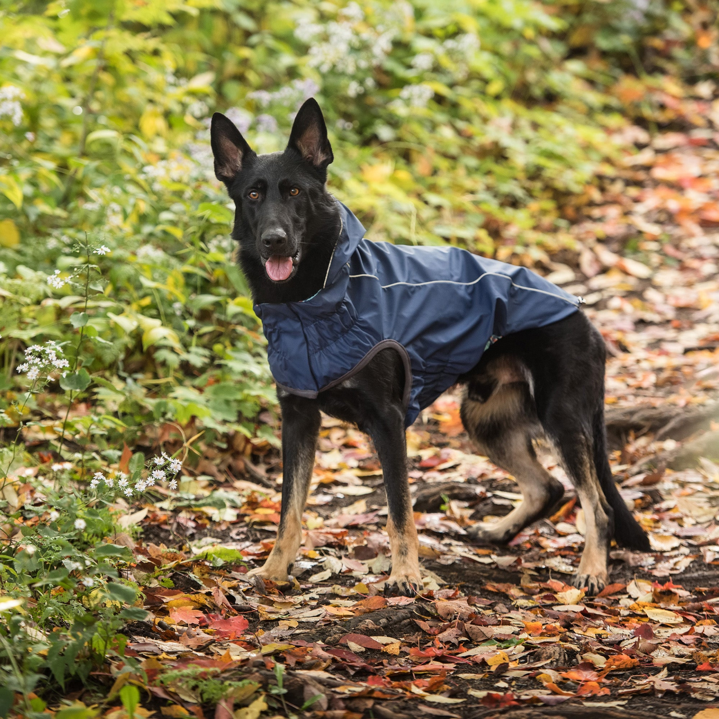 Reversible Elasto-Fit Raincoat for Dogs- Navy