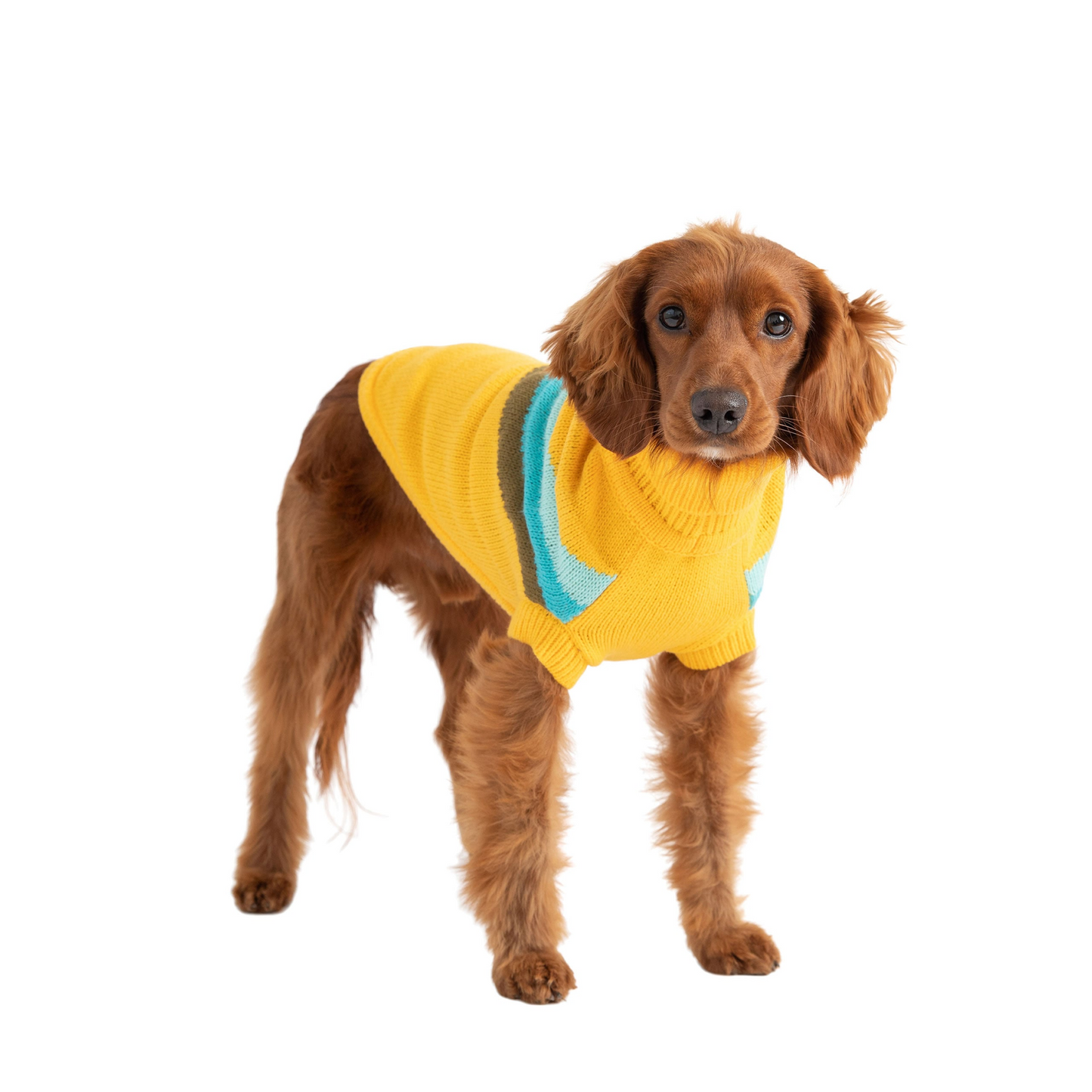 Alpine Sweater for Dogs- Yellow