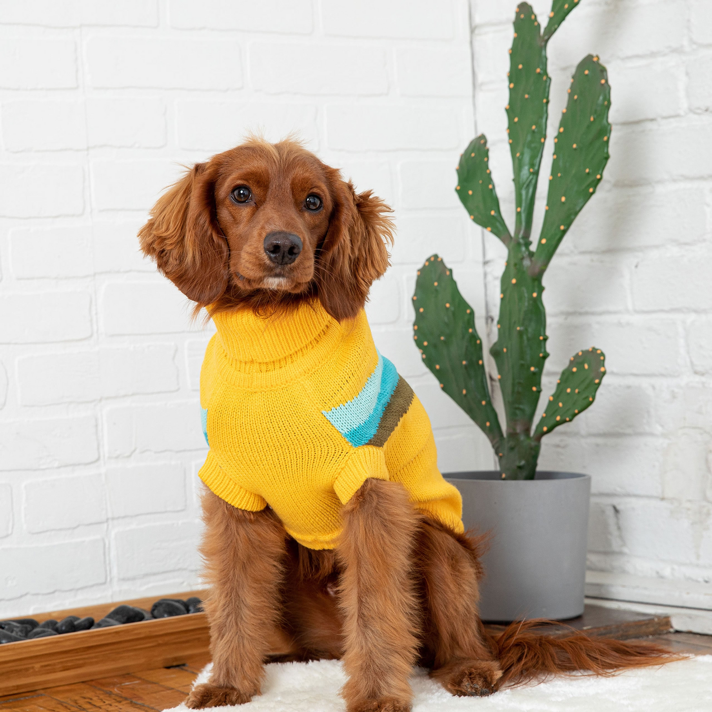 Alpine Sweater for Dogs- Yellow