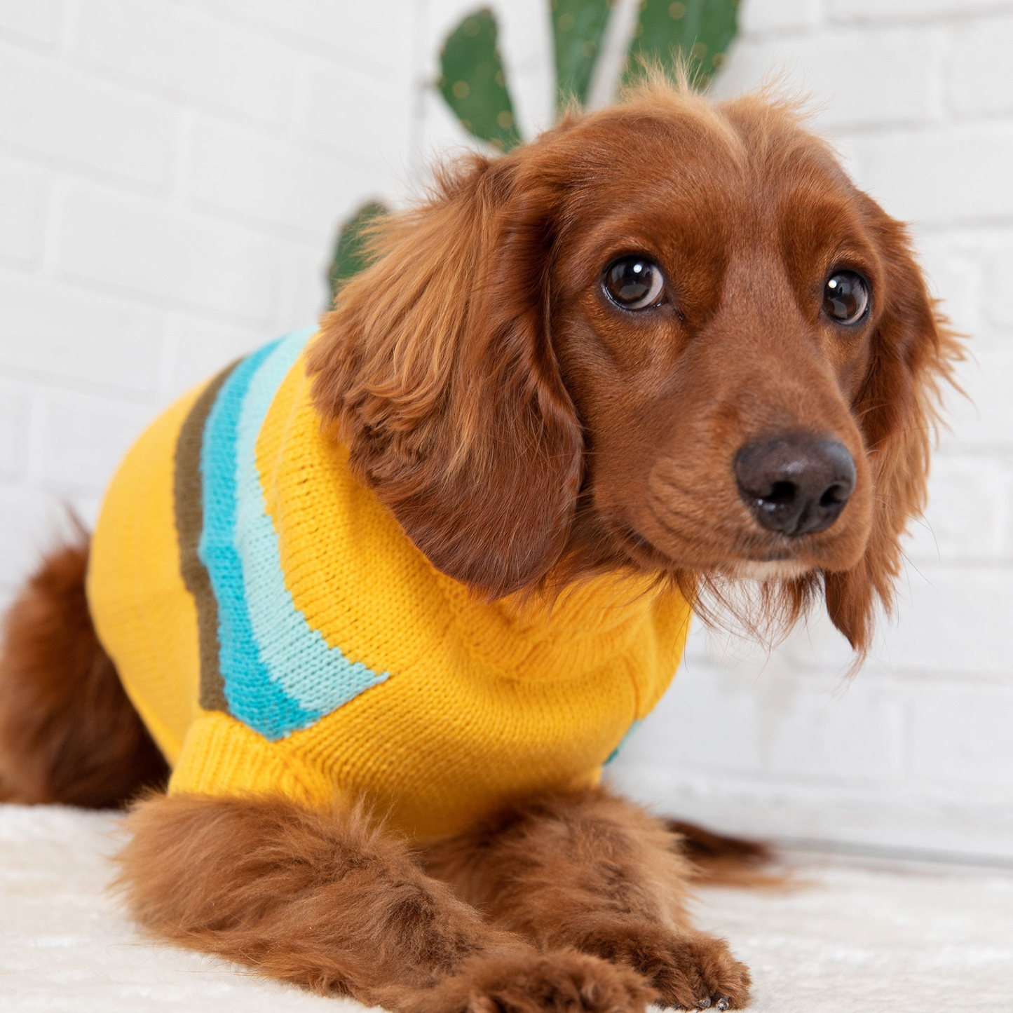 Alpine Sweater for Dogs- Yellow