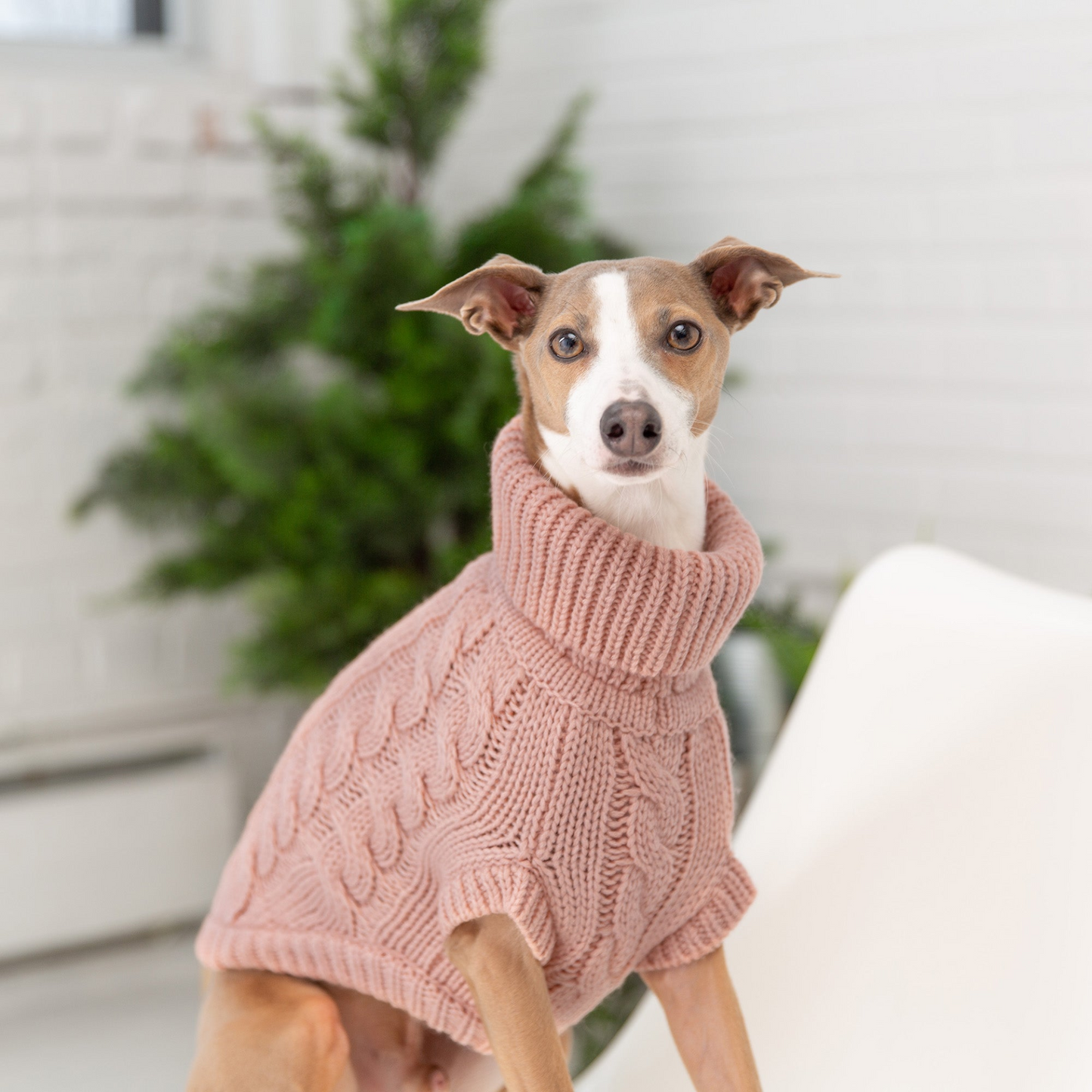 Chalet Dog Sweater Cable Knit- Pink