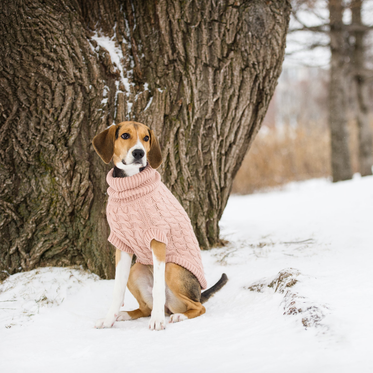 Chalet Dog Sweater Cable Knit- Pink