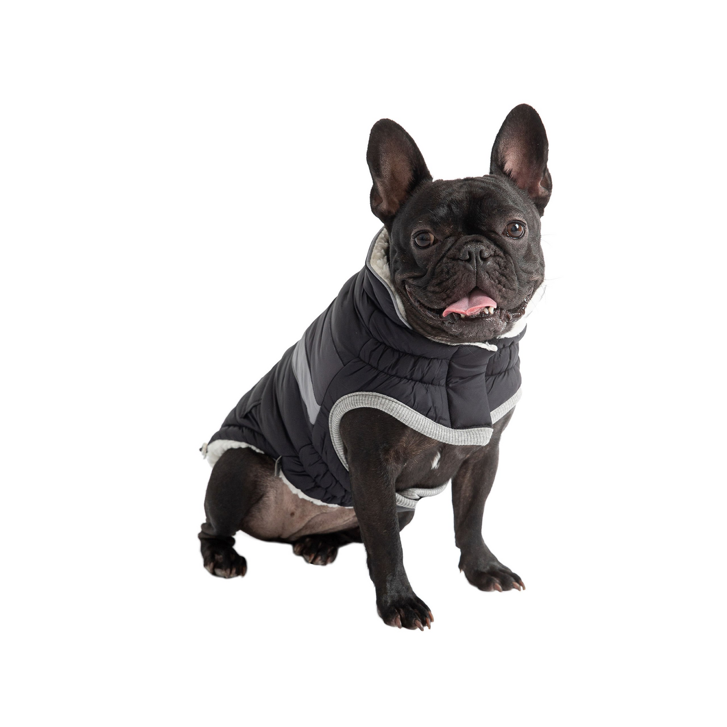 Alpine Puffer Coat for Dogs- Black