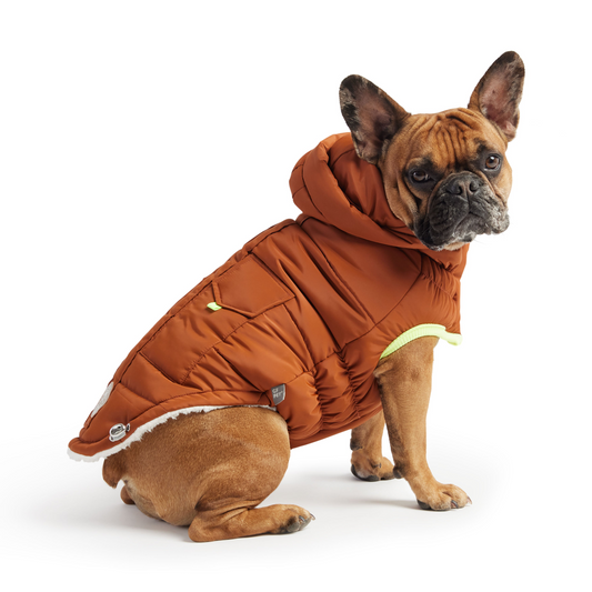 Super Puff Parka for Dogs- Hazel