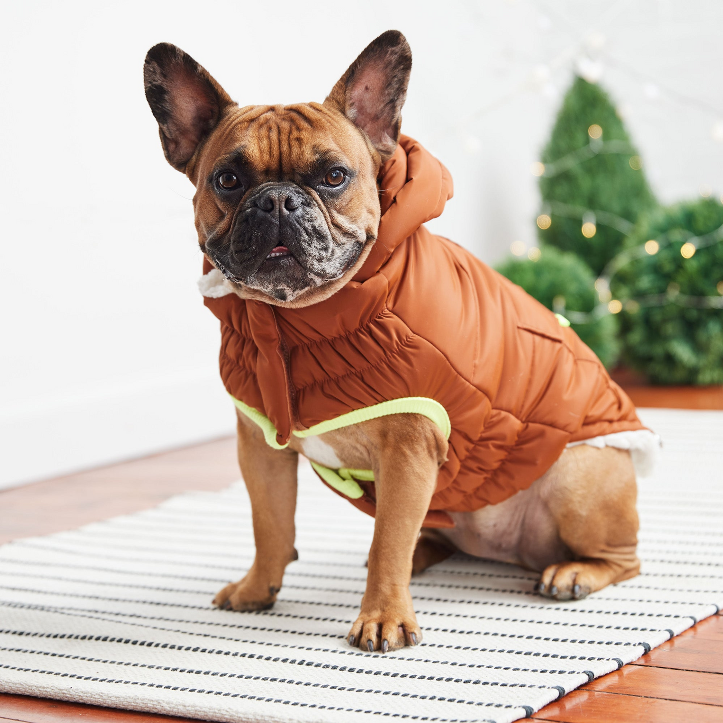 Super Puff Parka for Dogs- Hazel