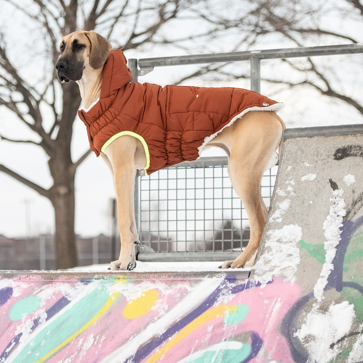 Super Puff Parka for Dogs- Hazel