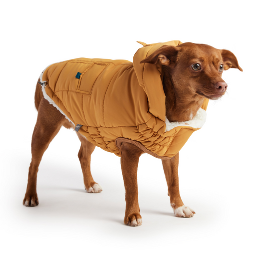 Super Puff Parka for Dogs - Yellow