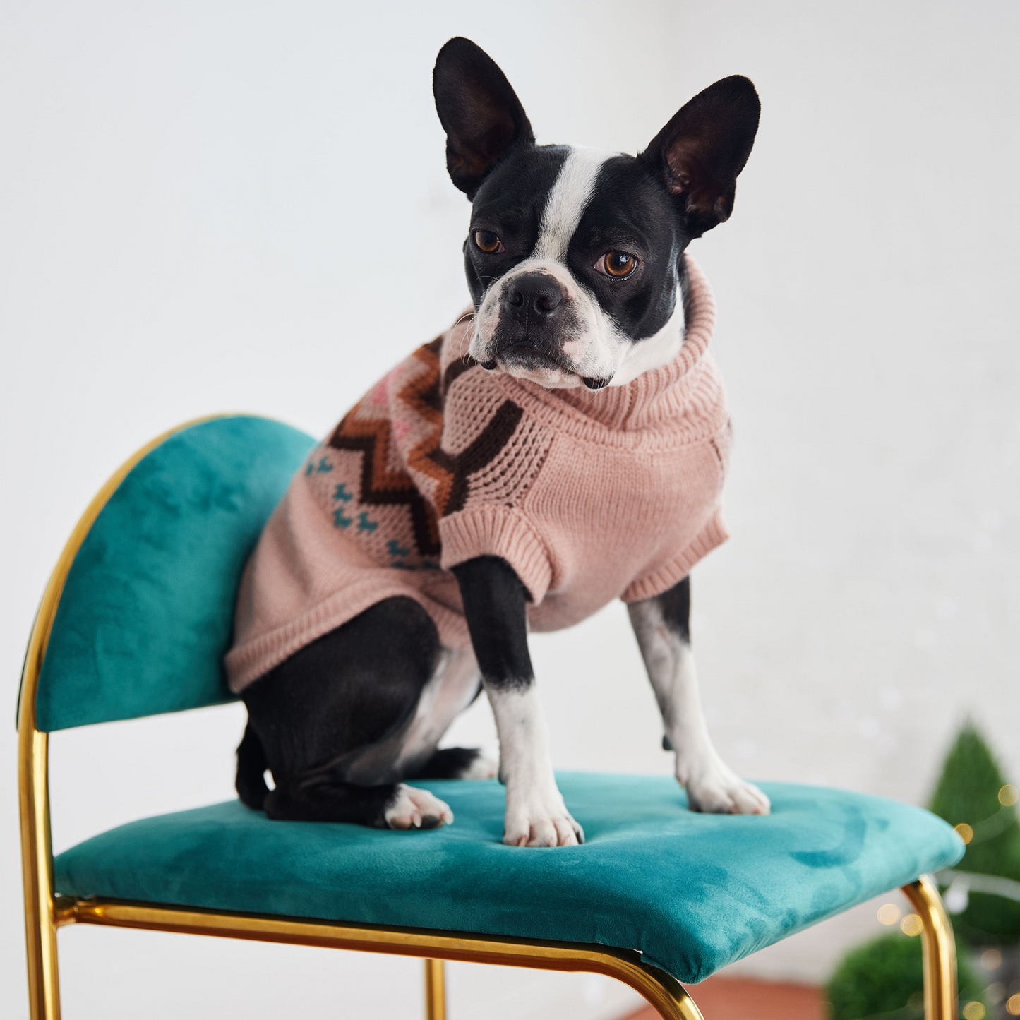 Heritage Sweater for Dogs- Pink