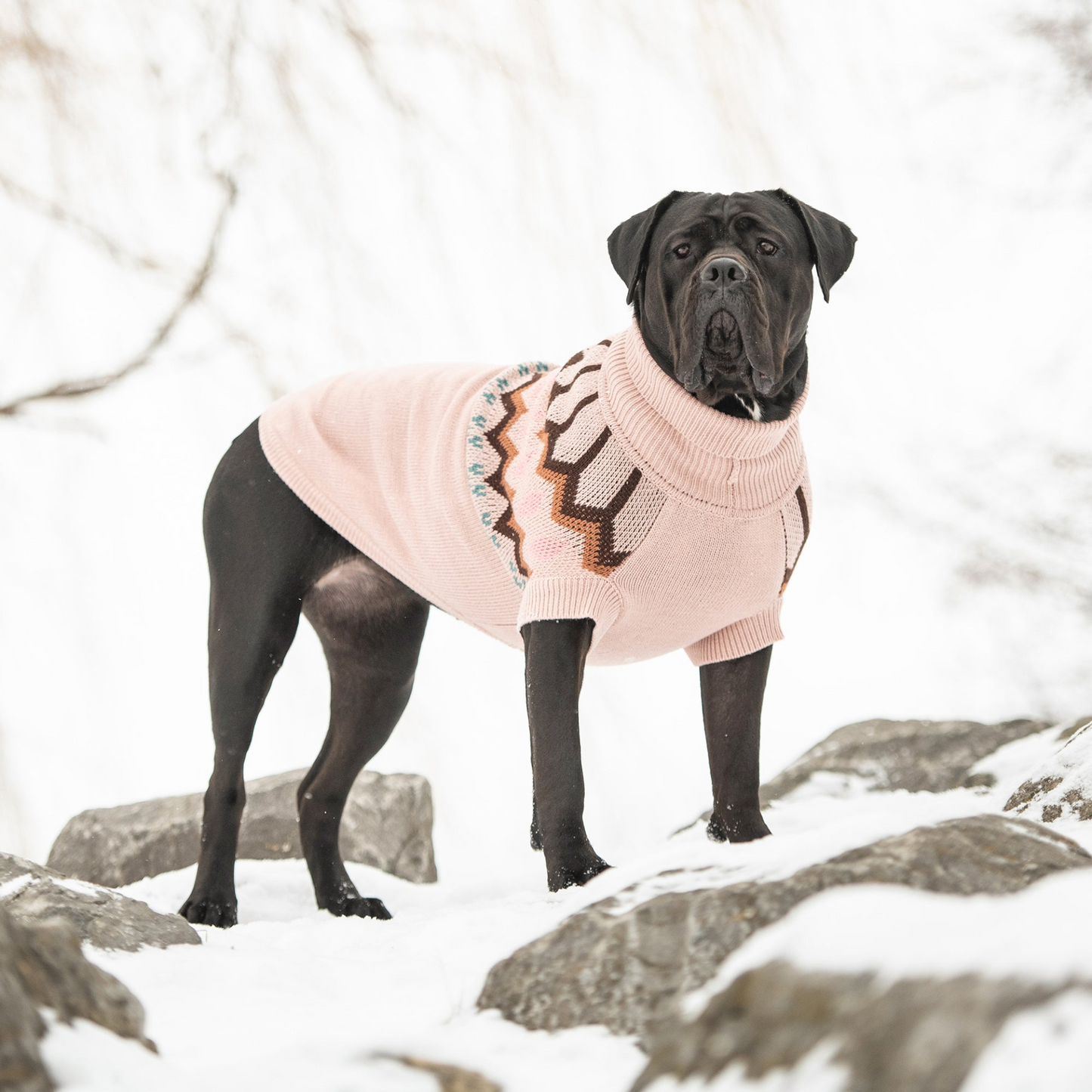 Heritage Sweater for Dogs- Pink