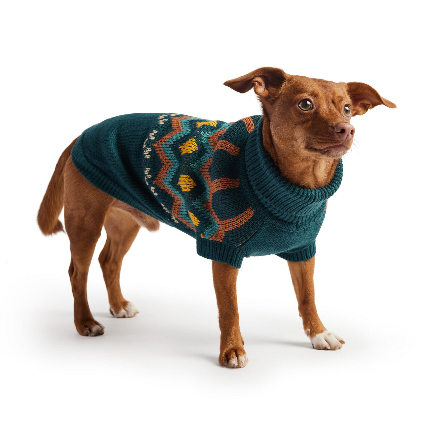 Heritage Sweater for Dogs- Teal