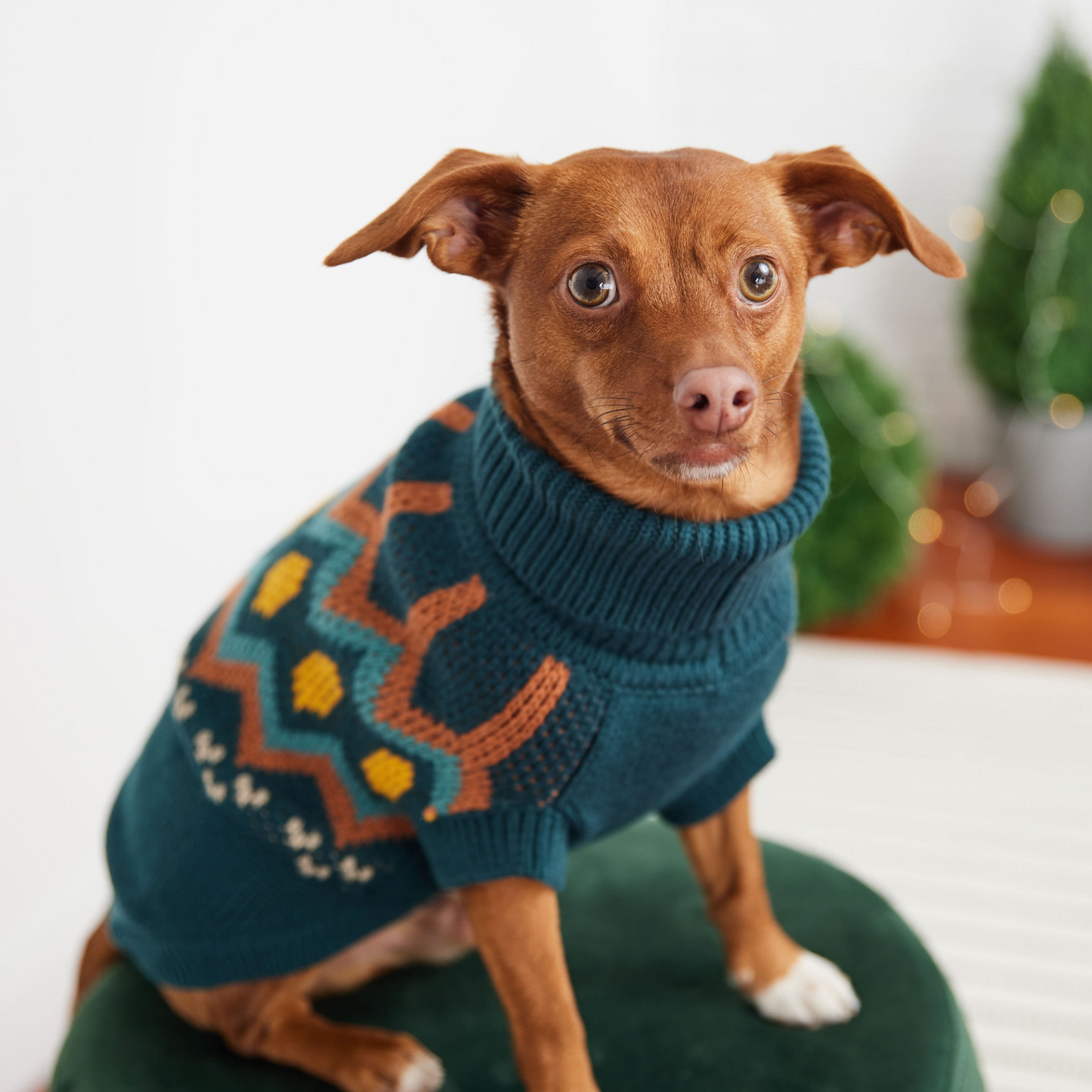 Heritage Sweater for Dogs- Teal