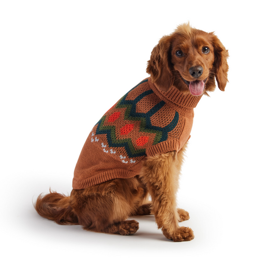 Heritage Sweater for Dogs- Hazel