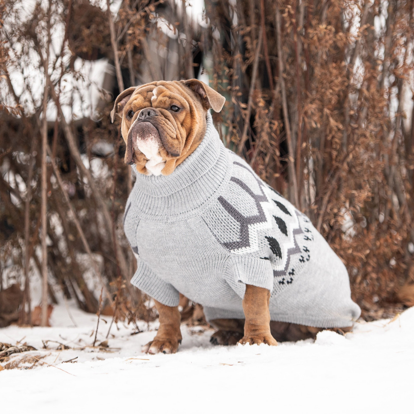 Heritage Sweater for Dogs- Grey Mix