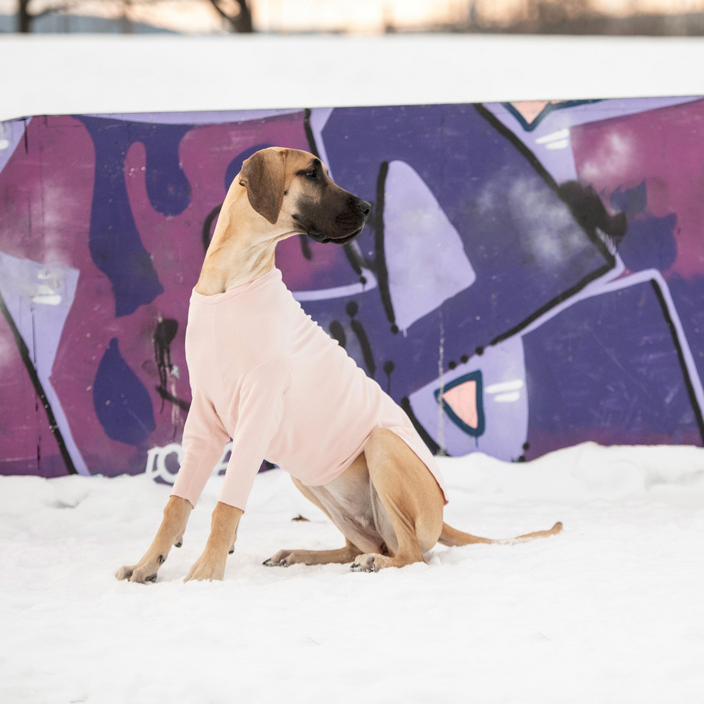 Fleece under layer for Dogs - Pink