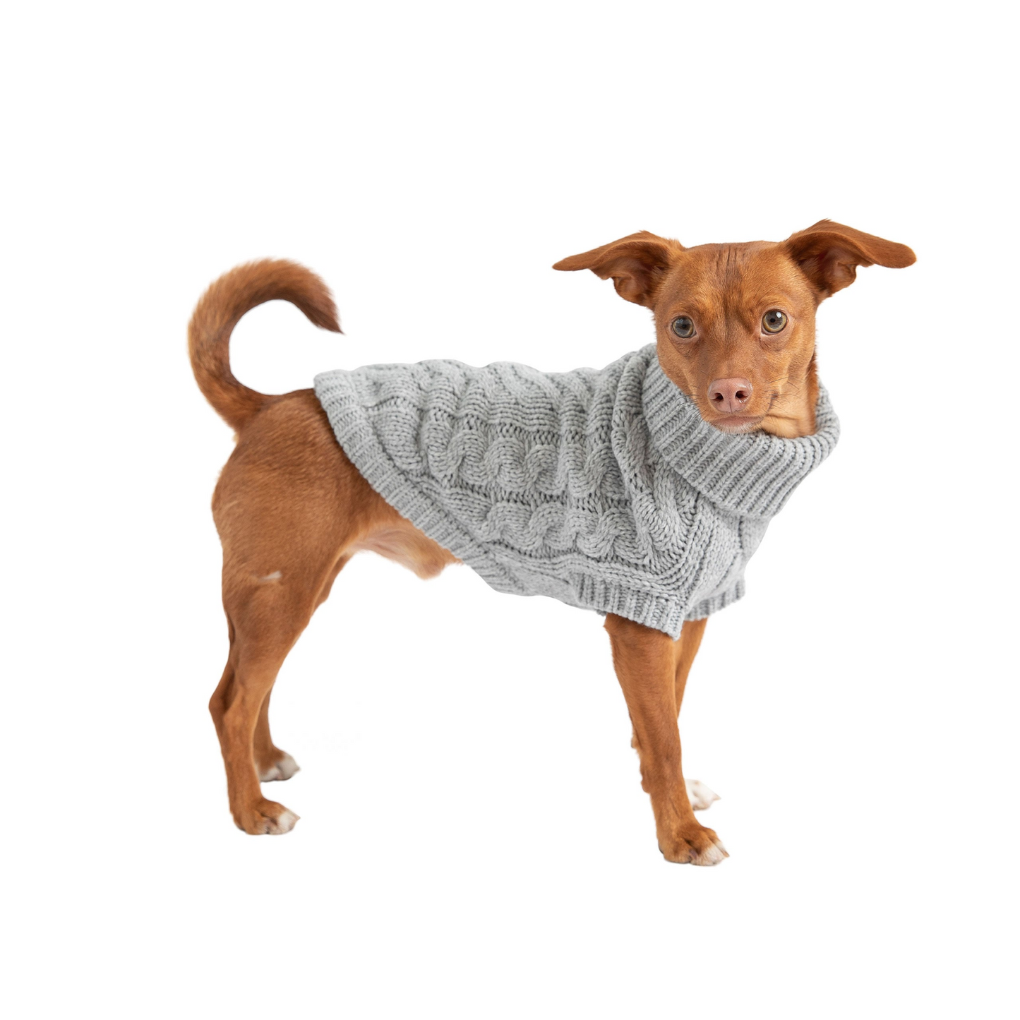 Chalet Dog Sweater Cable Knit- Grey