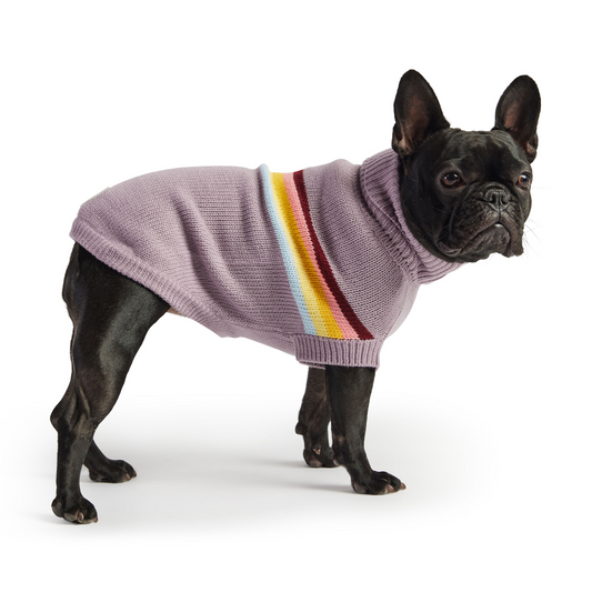 Retro Sweater for Dogs- Lavender