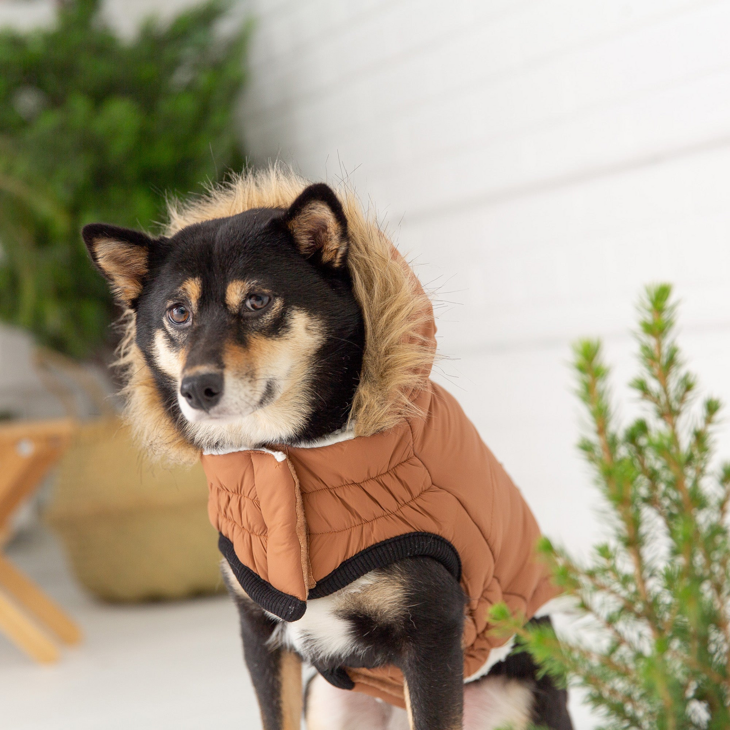 Elasto-Fit Urban Parka for Dogs- Caramel