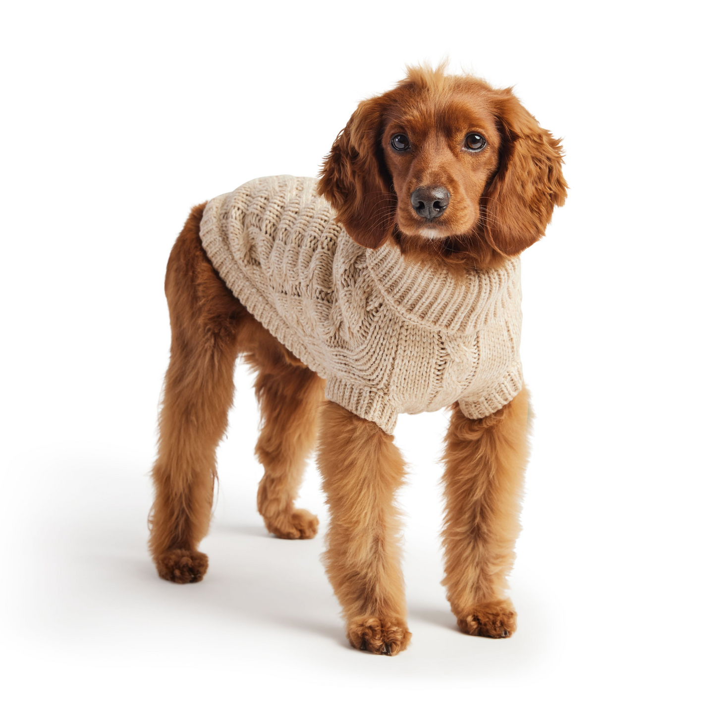 Chalet Dog Sweater Cable Knit- Oatmeal