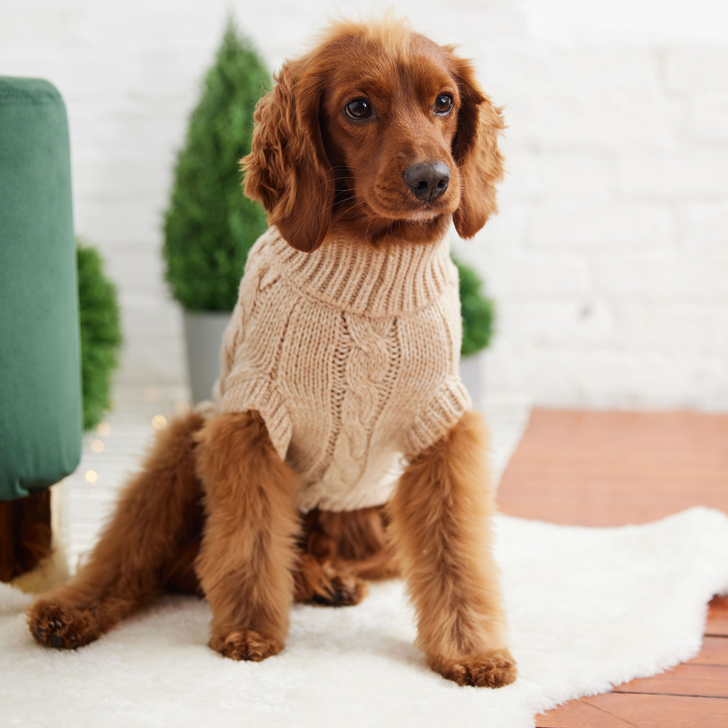 Chalet Dog Sweater Cable Knit- Oatmeal