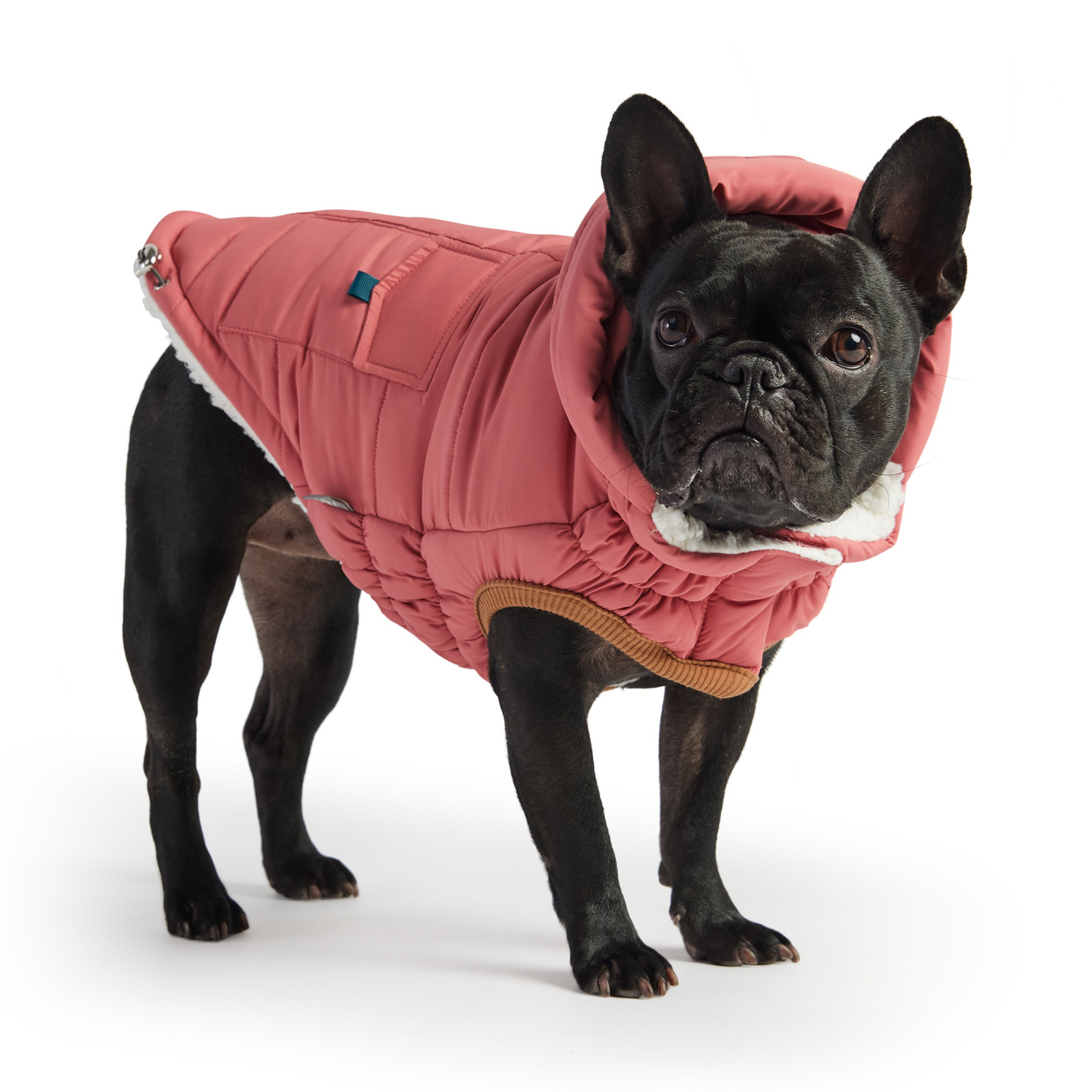 Super Puff Parka for Dogs - Pink