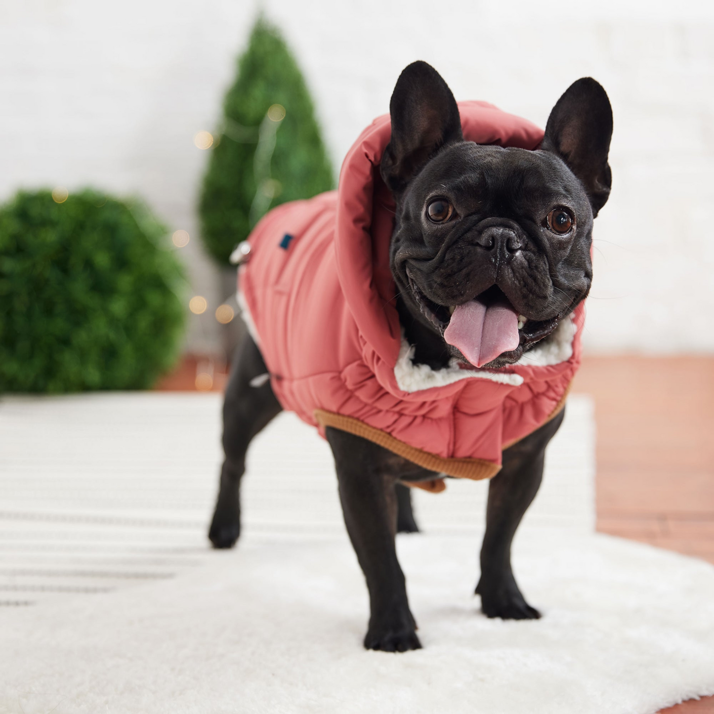 Super Puff Parka for Dogs - Pink