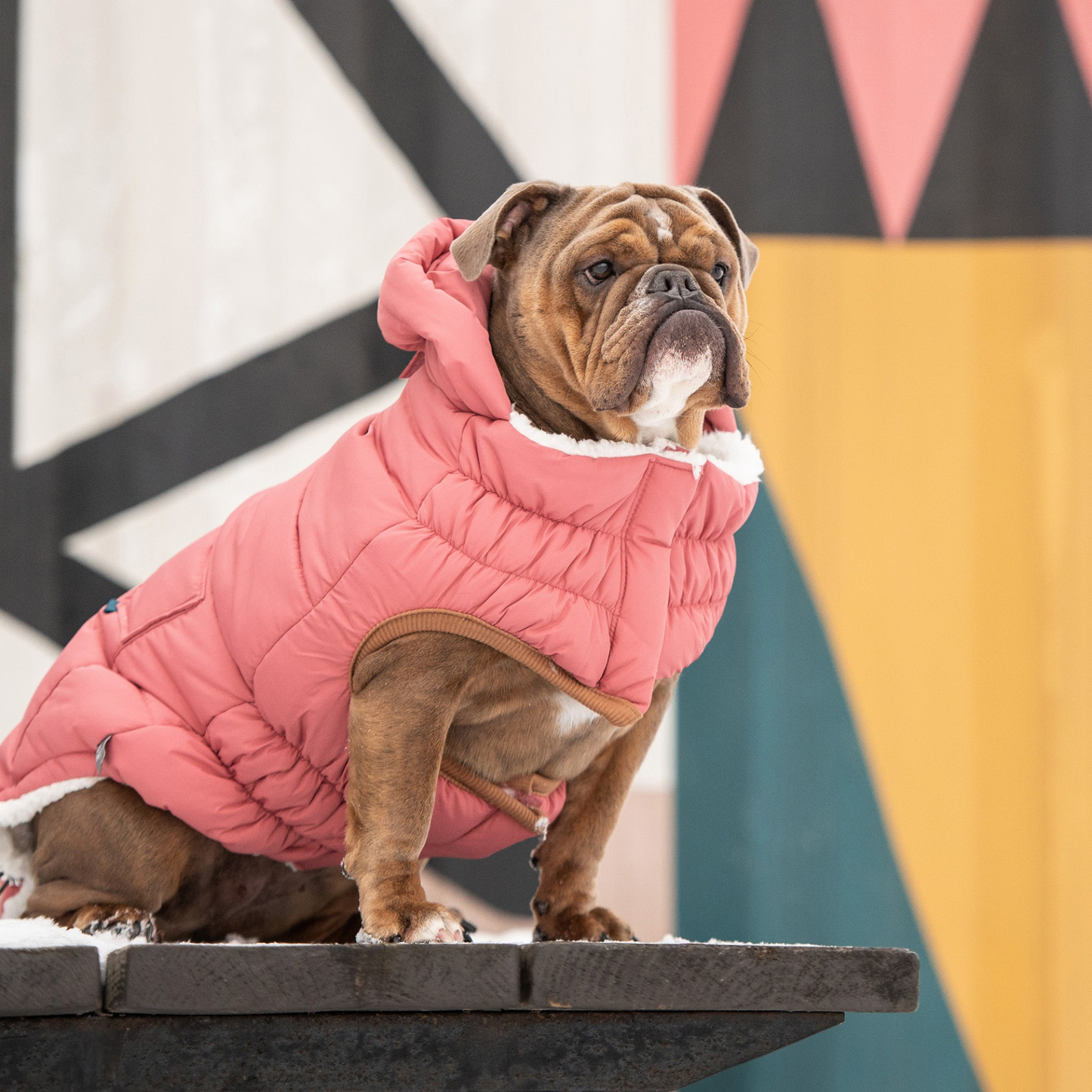 Super Puff Parka for Dogs - Pink