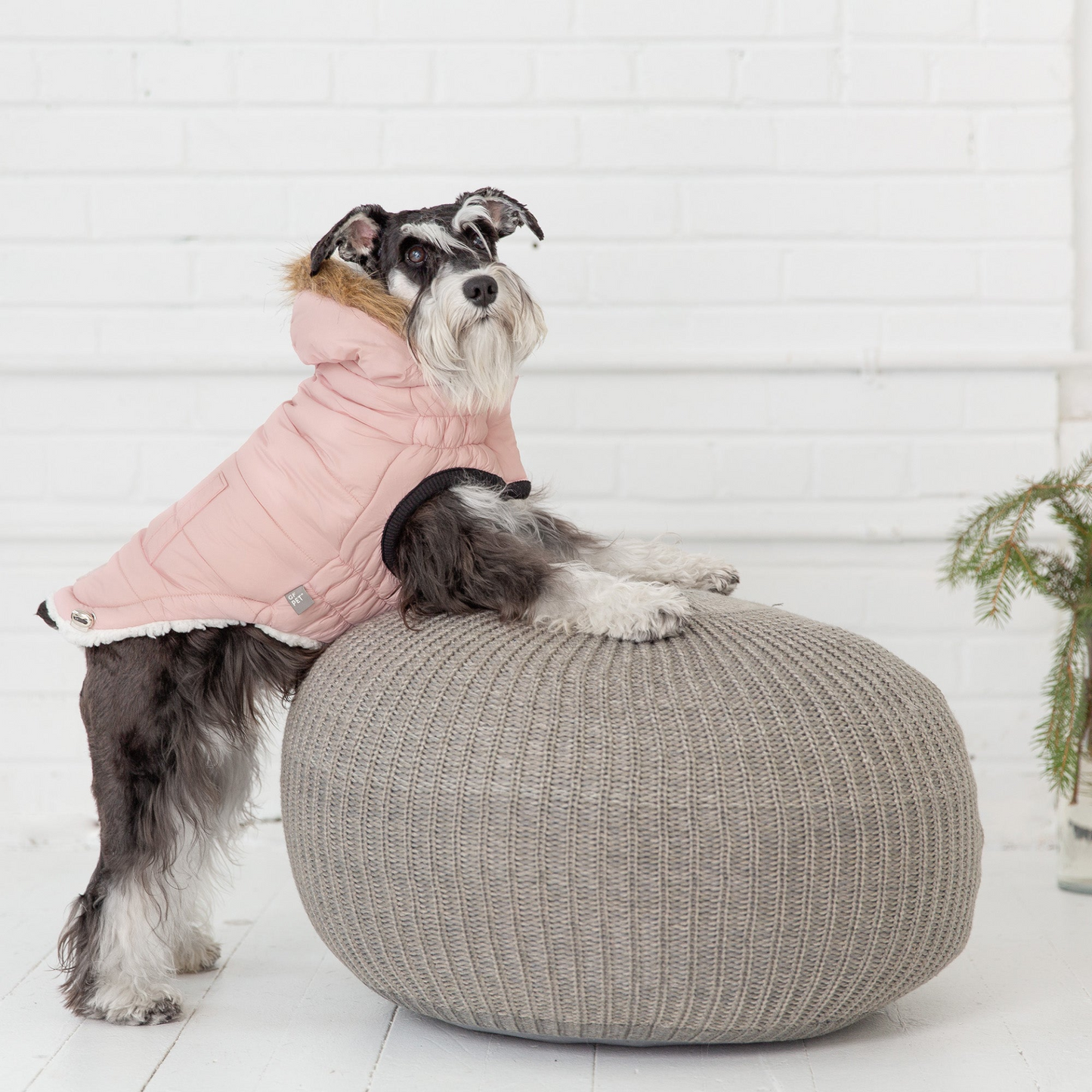 Elasto-Fit Urban Parka for Dogs - Pink