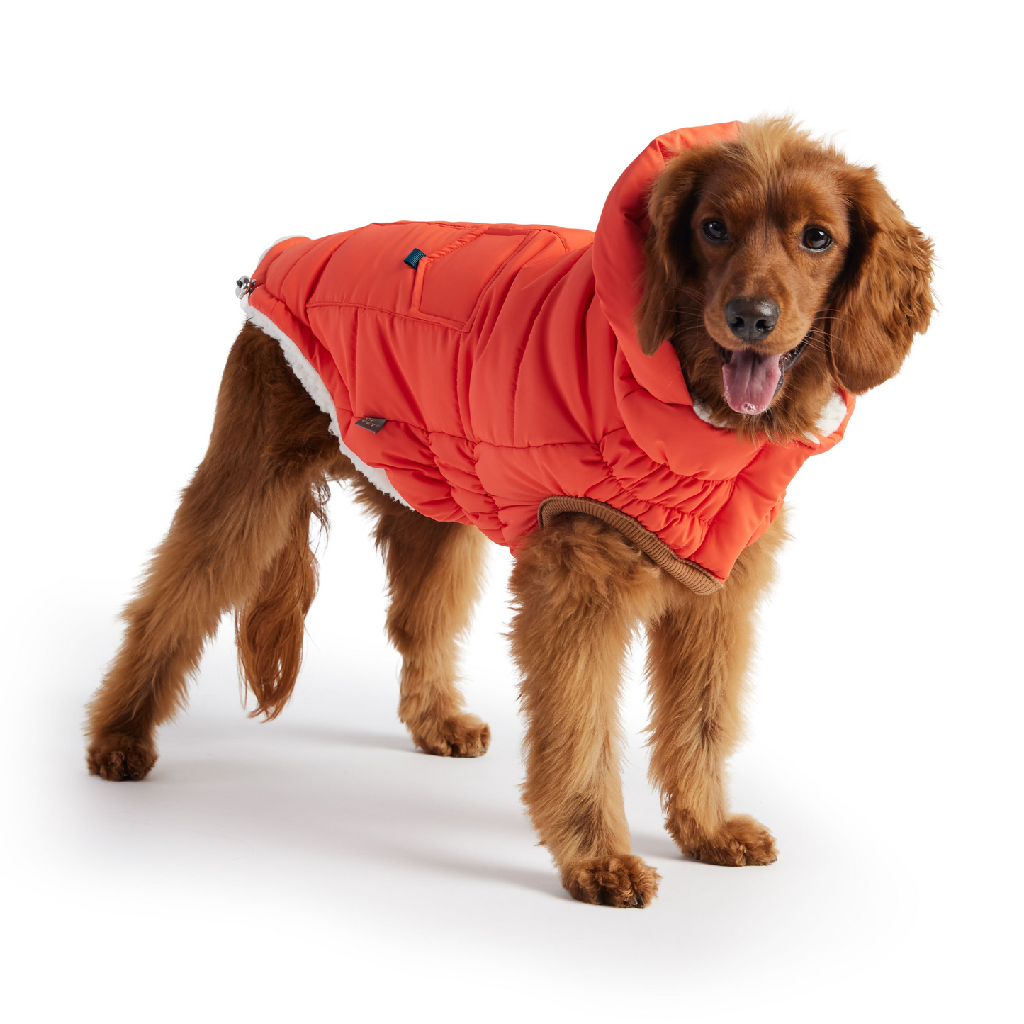 Super Puff Parka for Dogs- Orange