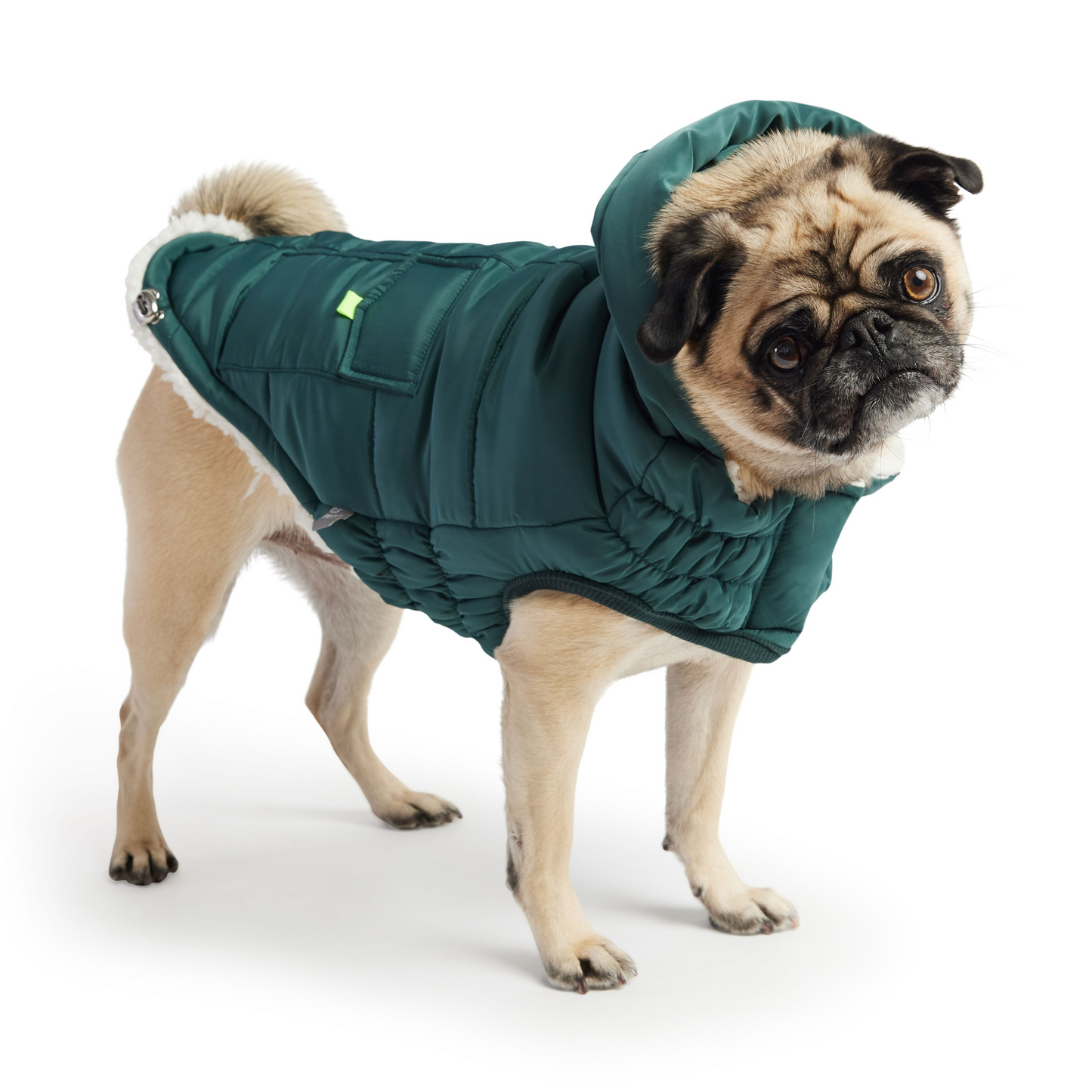 Super Puff Parka for Dogs- Teal