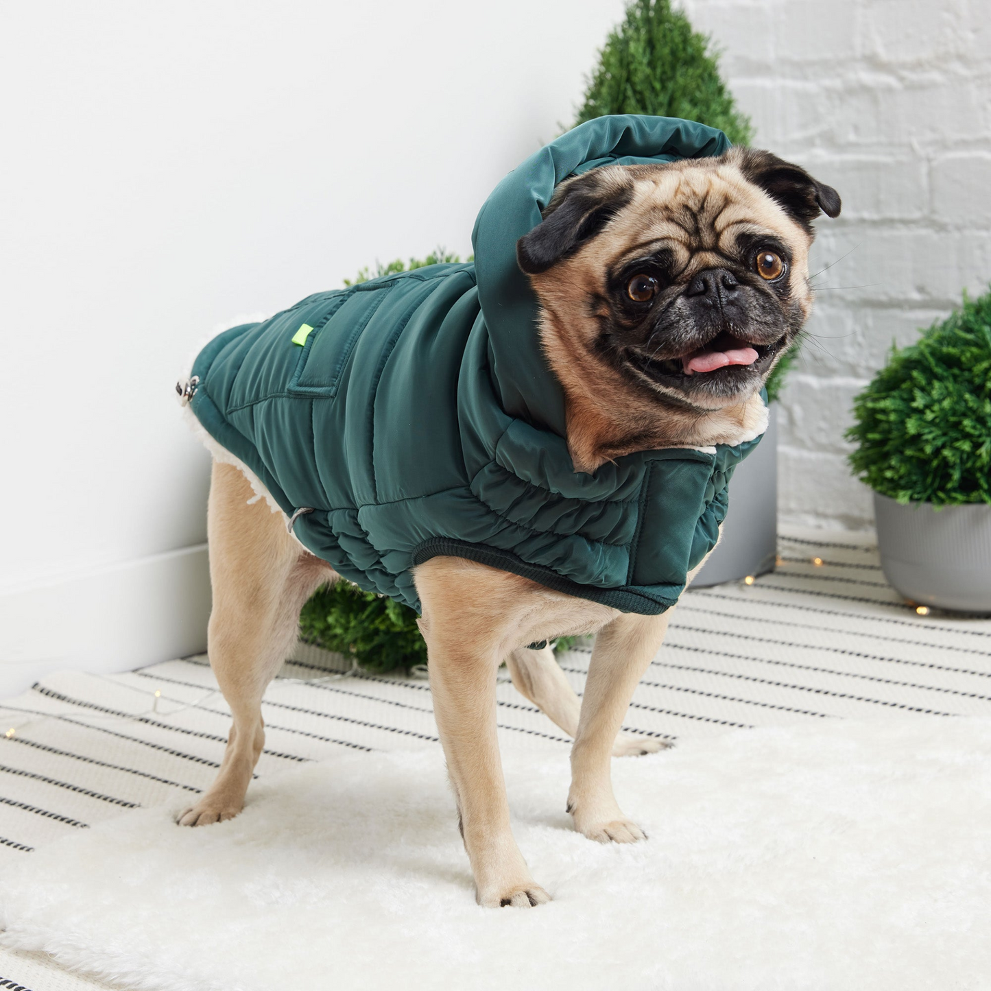 Super Puff Parka for Dogs- Teal