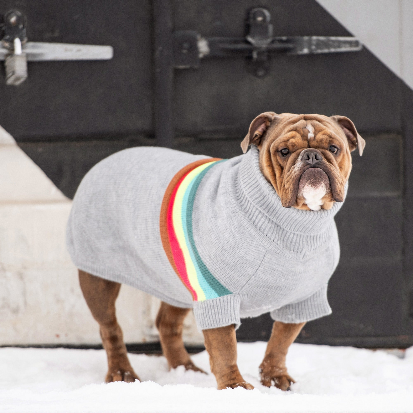 Retro Sweater for Dogs- Grey Mix