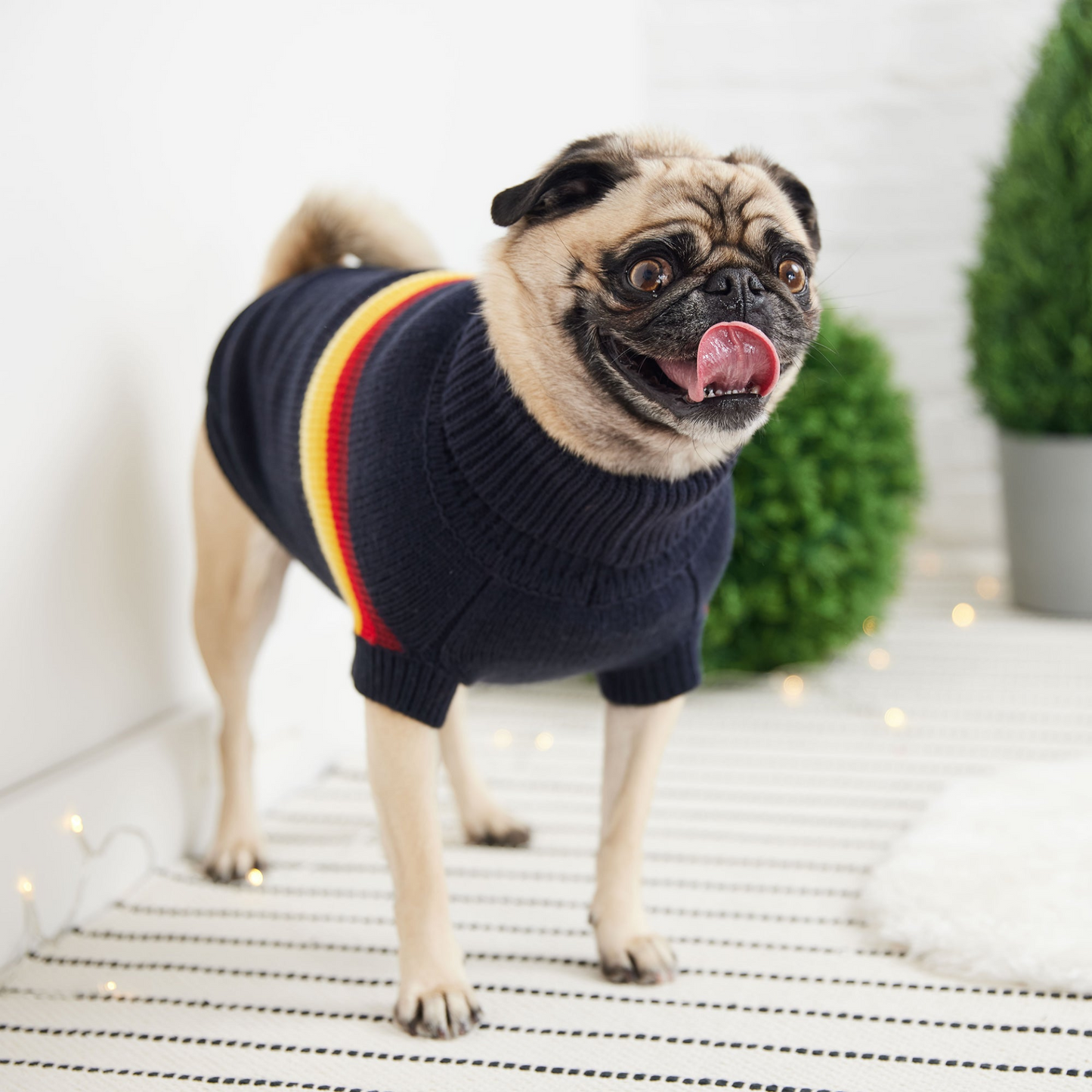 Retro Sweater for Dogs- Navy