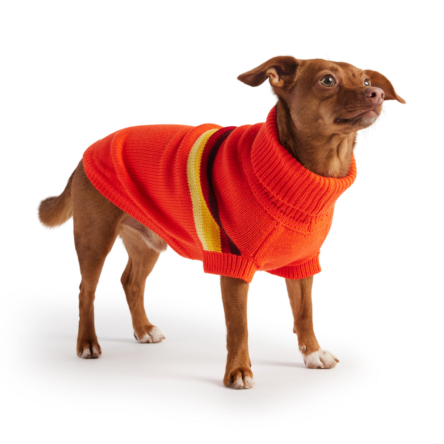 Retro Sweater for Dogs- Orange