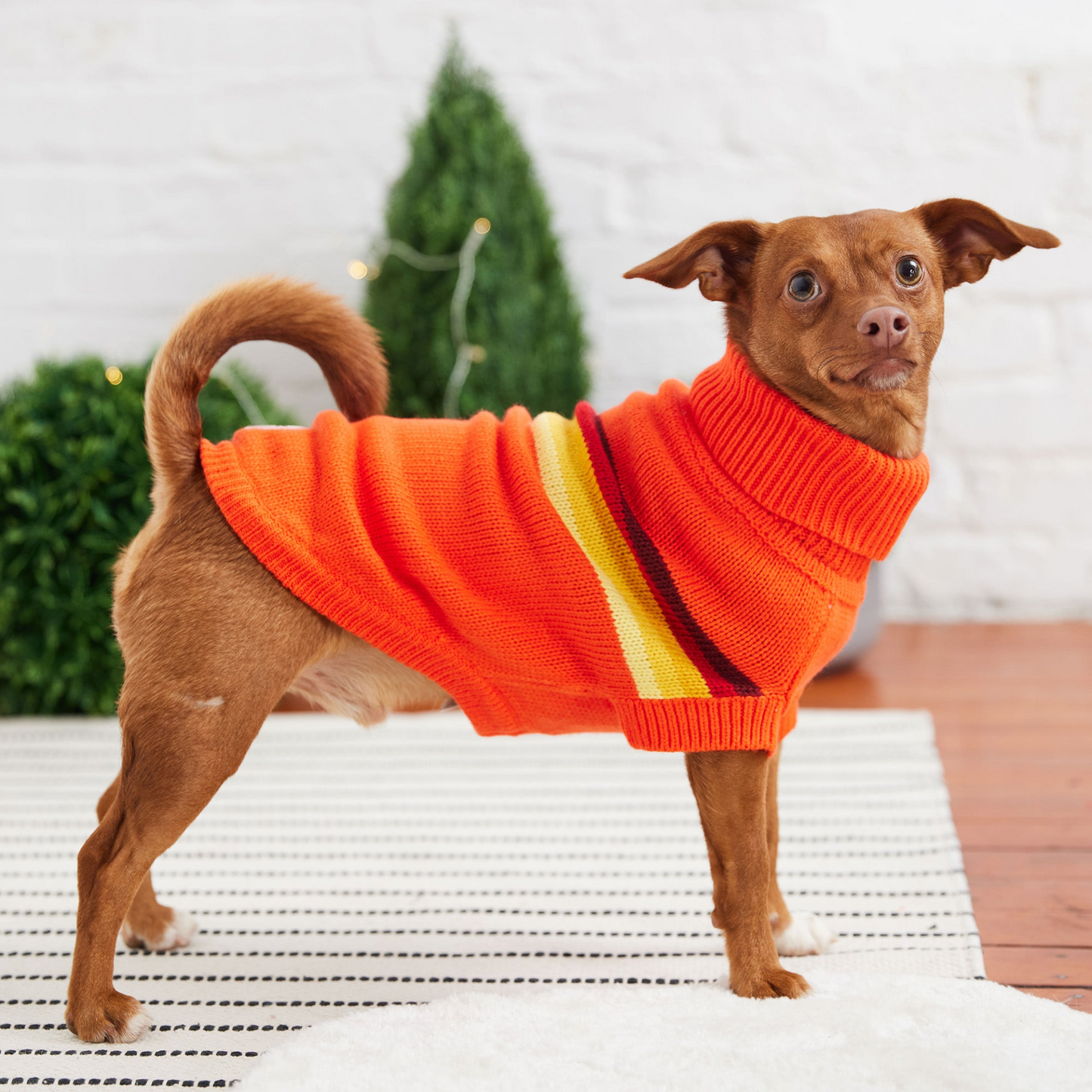 Retro Sweater for Dogs- Orange