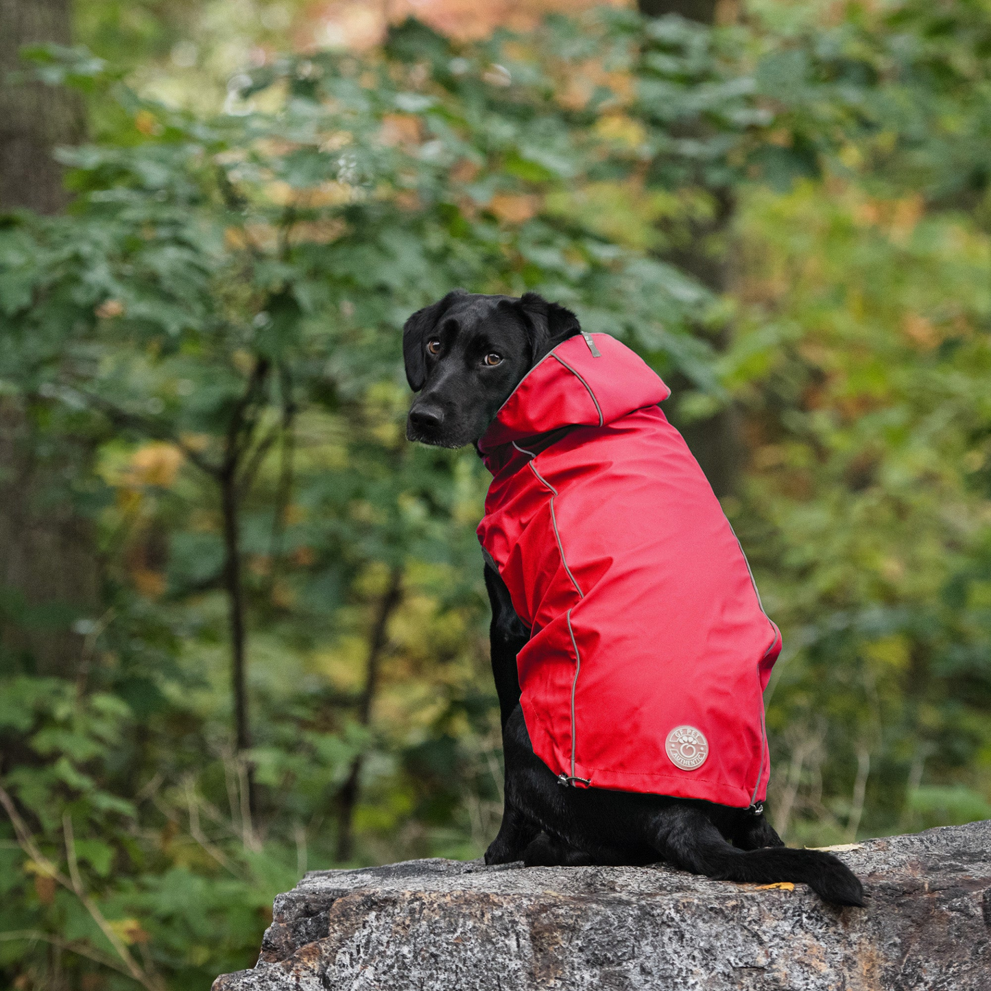 Reversible Elasto-Fit Raincoat for Dogs - Red