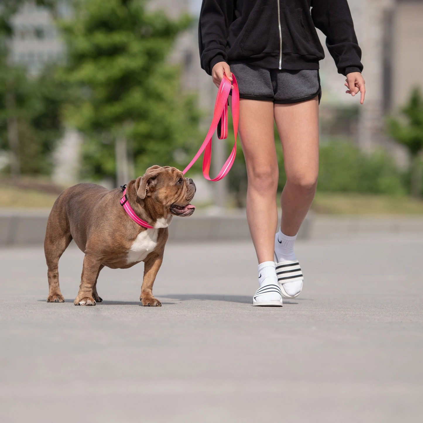 Reflective Leash for Dogs- Neon Pink