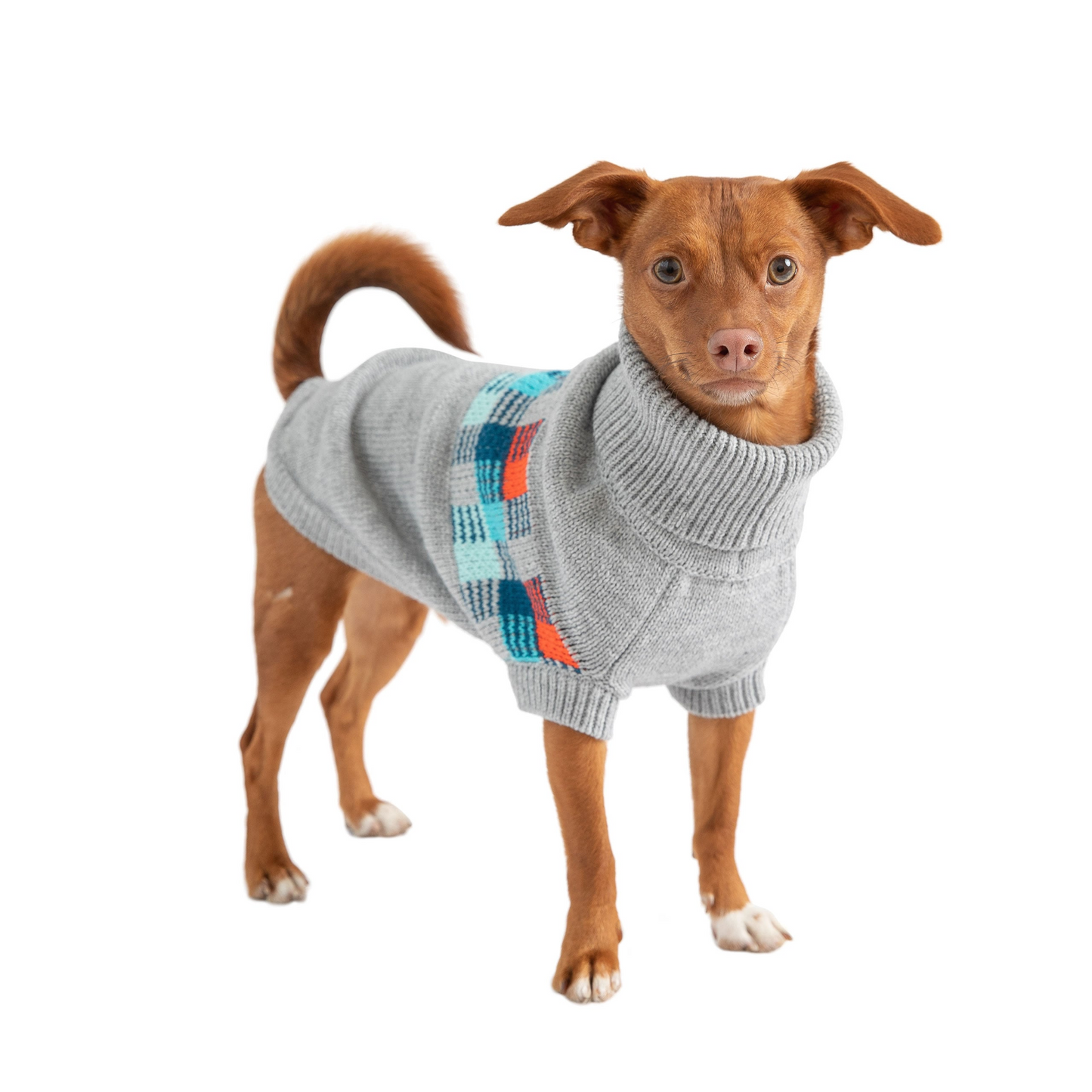 Winter Sailor Sweater forDogs- Grey Mix