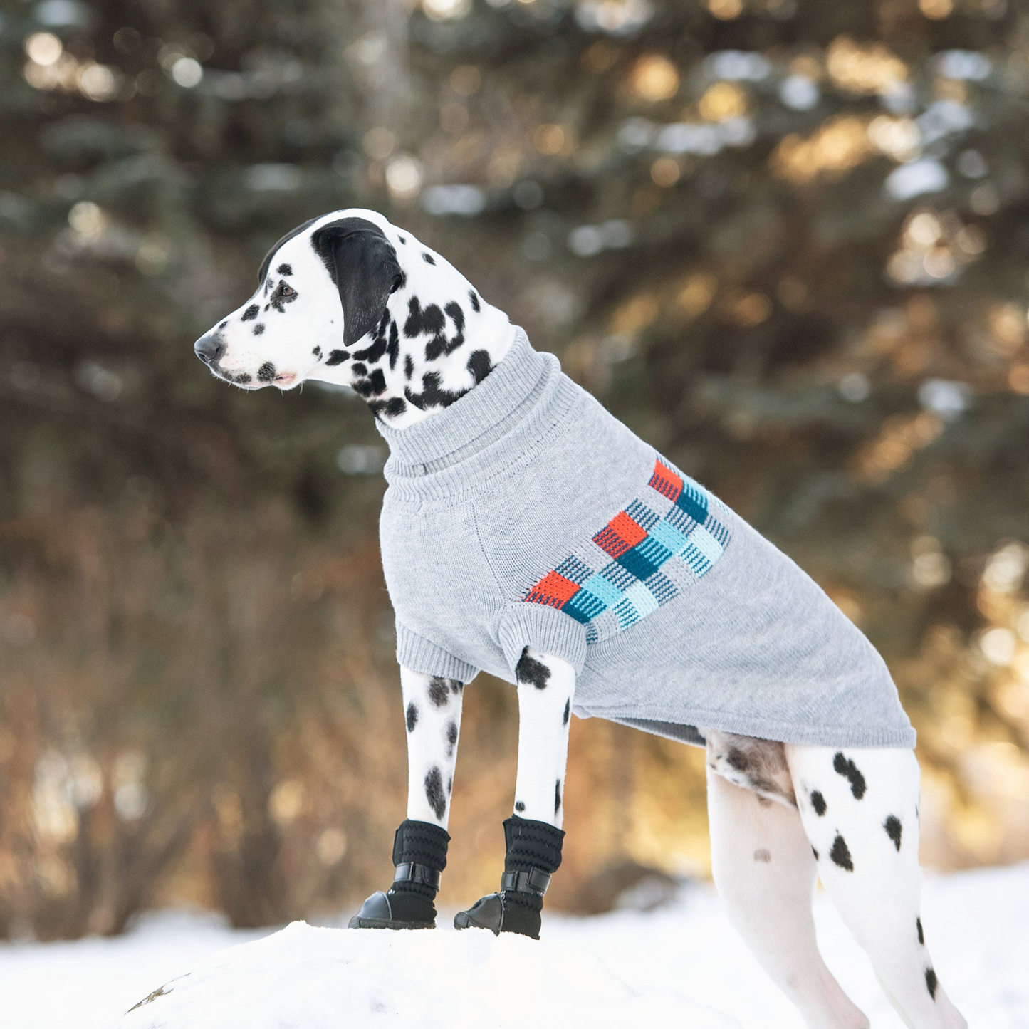 Winter Sailor Sweater forDogs- Grey Mix