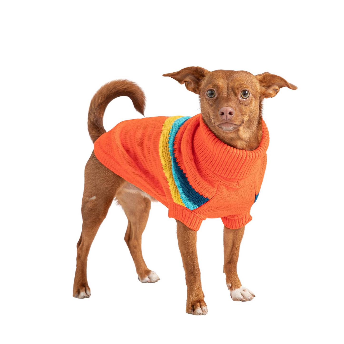 Alpine Sweater for Dogs- Orange