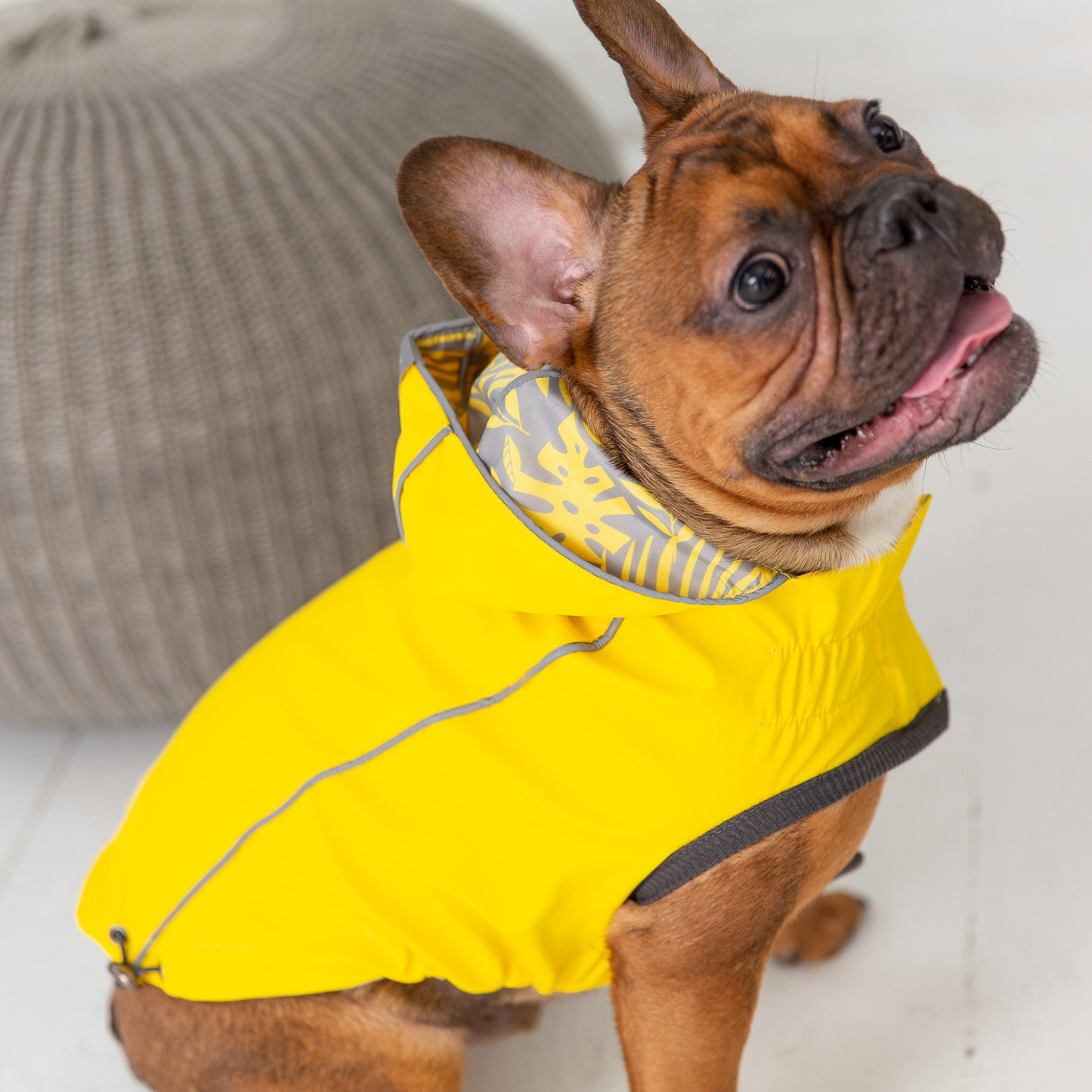 Reversible Elasto-Fit Raincoat for Dogs - Yellow