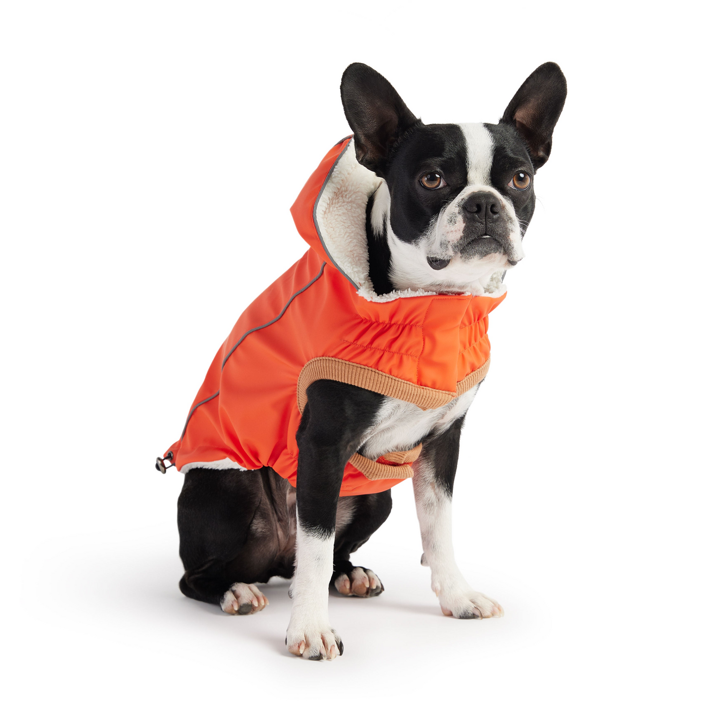 Insulated Raincoat for Dogs- Orange