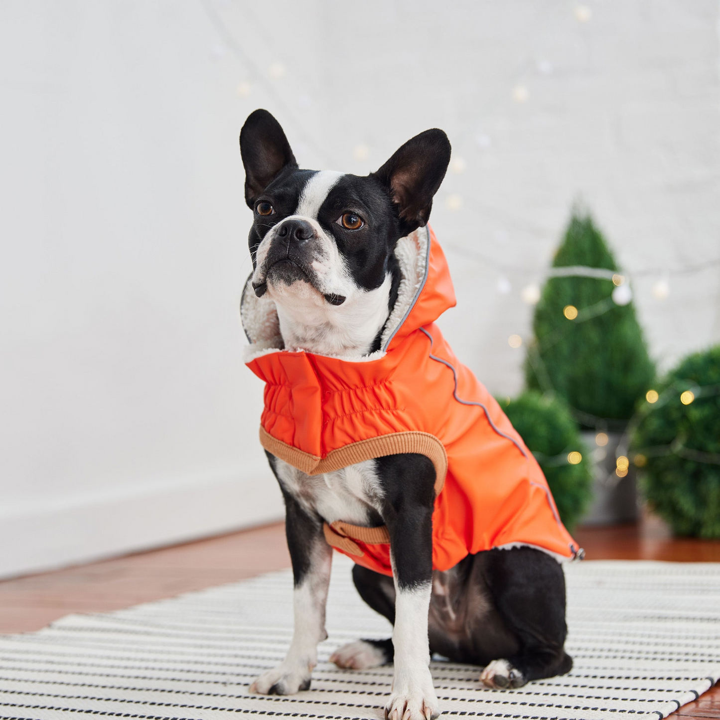 Insulated Raincoat for Dogs- Orange